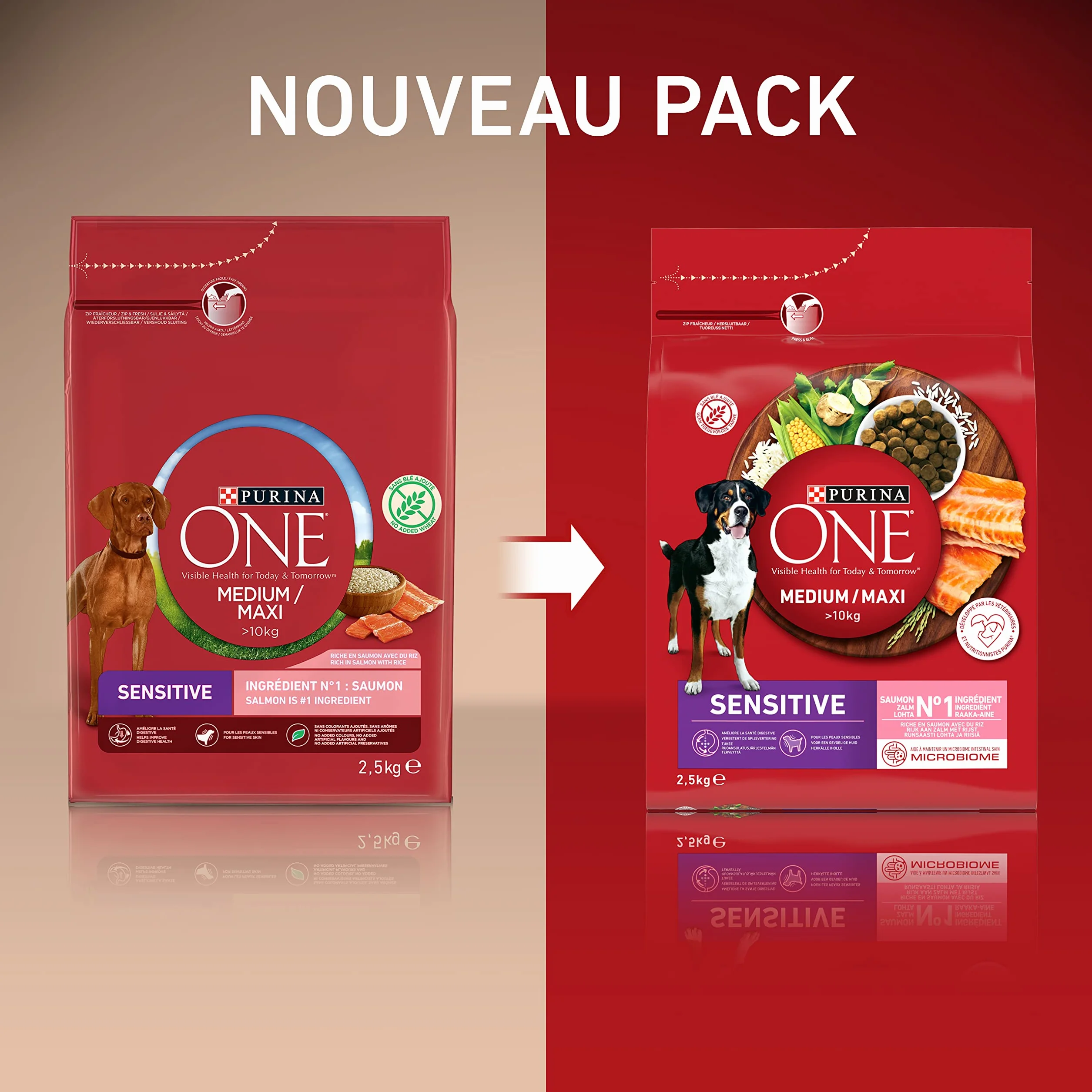 PURINA ONE Sensitive Croquettes Chien Adulte Saumon 2,5 kg
