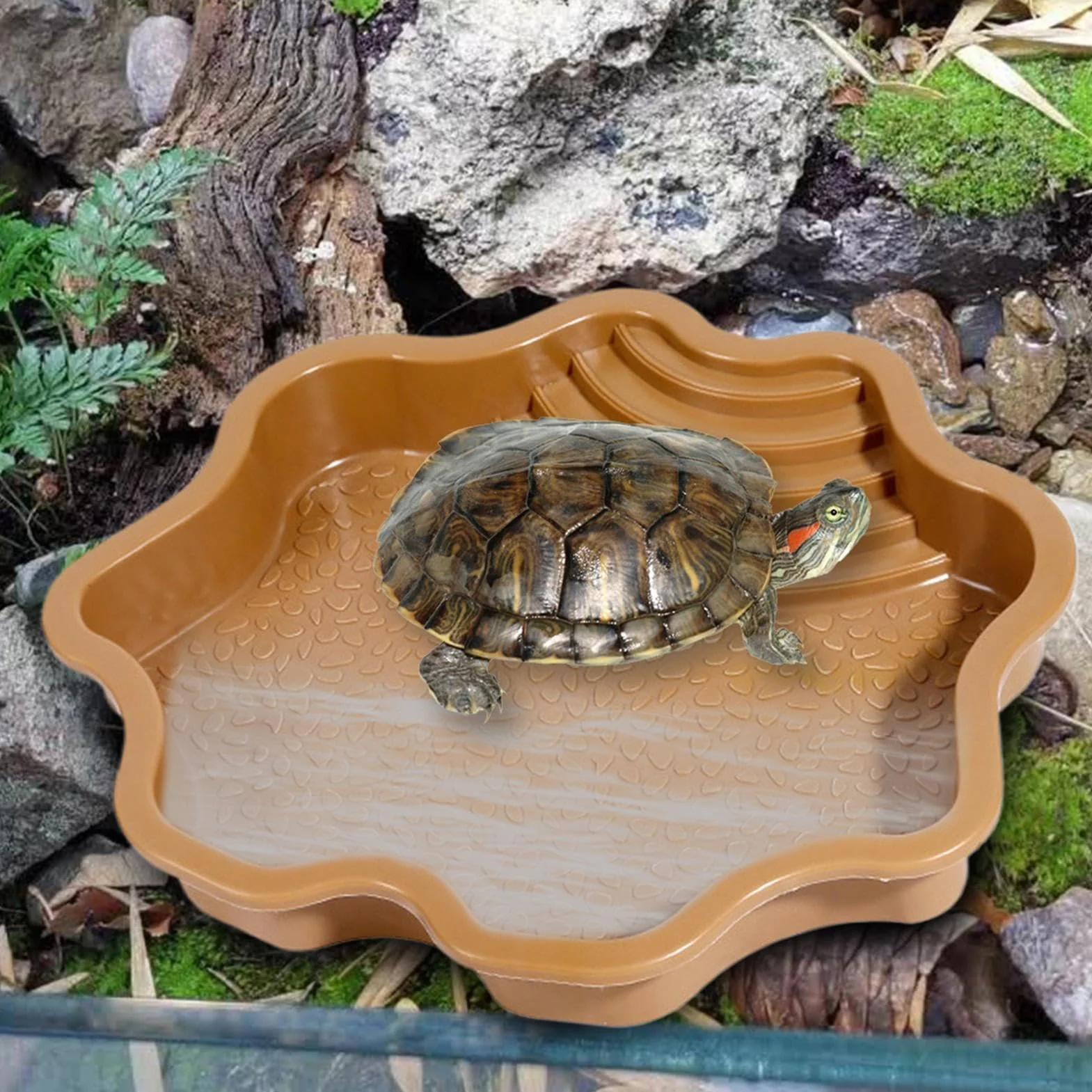 Piscine de Bain pour Tortue | Mangeoire à Eau pour Tortue avec Rampe – de trempage pour Tortue pour Reptiles