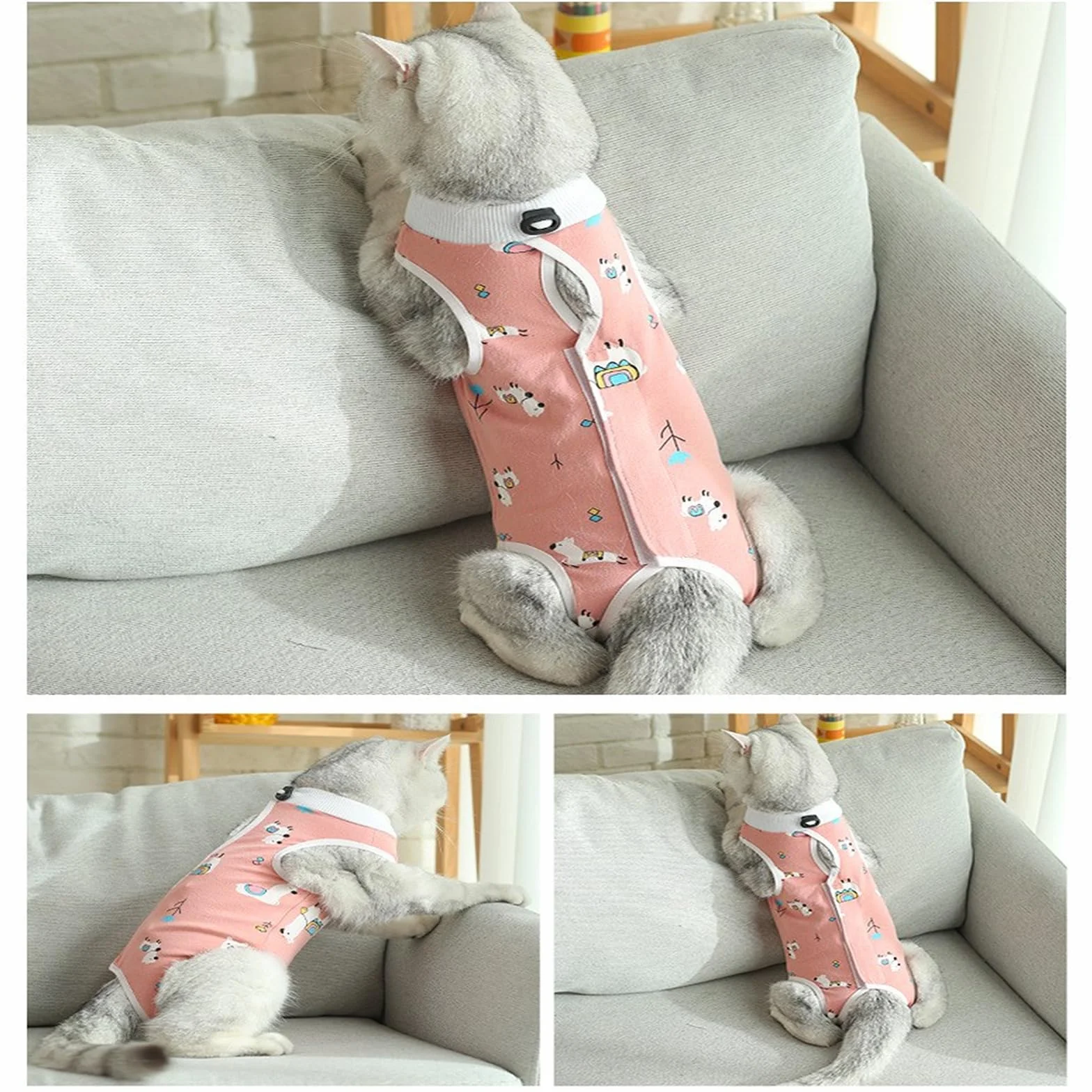 Lot de 2 Chats Post-opératoires Anti-léchage Taille M pour Chat 2-4 kg