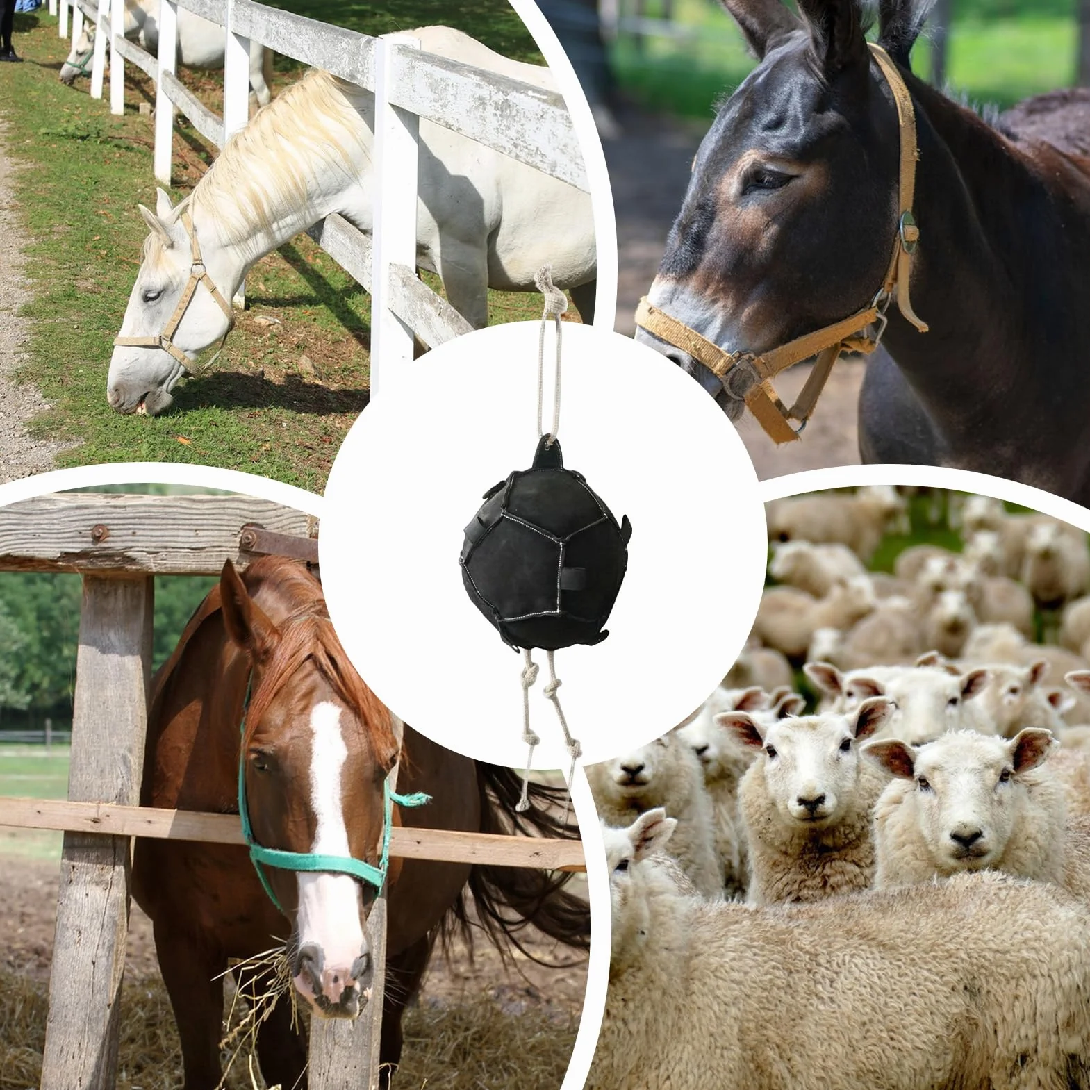 Distributeur Suspendu Nourriture Chevaux, Jeu Interactif Anti-Stress Anti-Ennui Bovins Moutons Chèvres Ferme