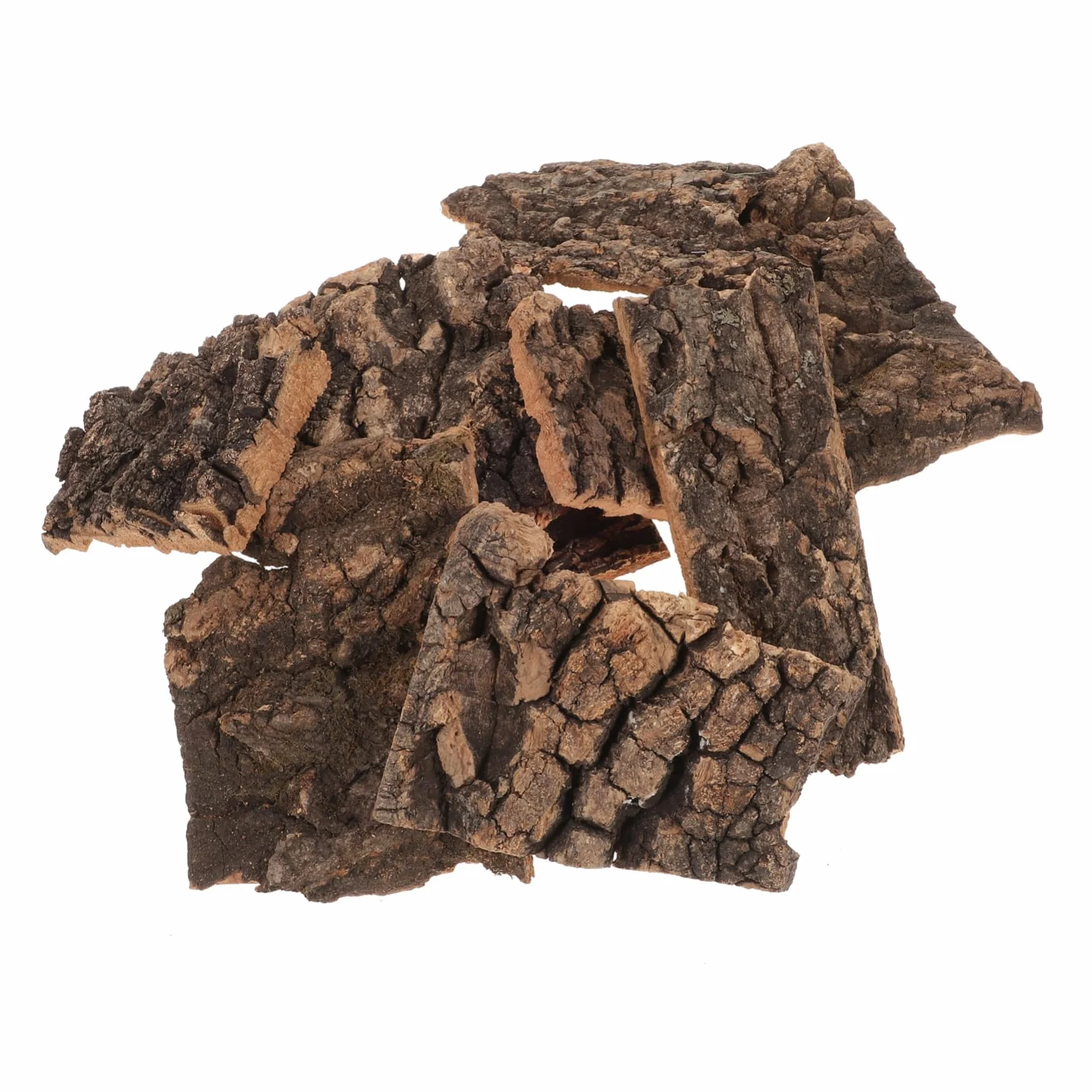 Lot de 10 Écorces de Liège Naturelles pour Terrarium d'escalade Reptiles Décoration Arbre Tortues Lézards