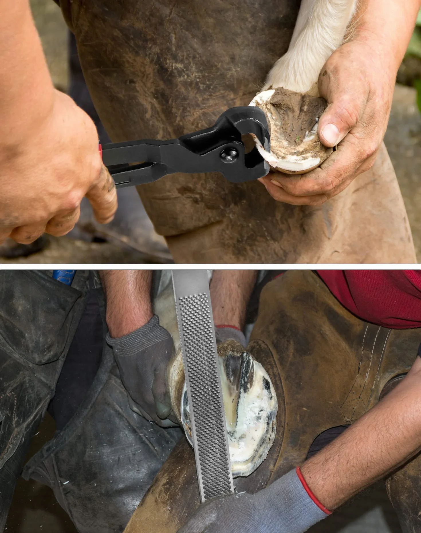 QWORK 3 Pièces Outils de Maréchalerie Pince à Sabot Outil de Parage Râpe Poignée Chevaux