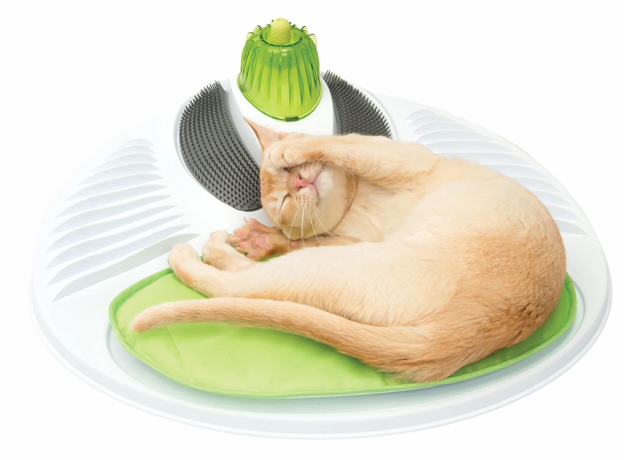 Catit Senses Station de Massage pour Chat, Vert