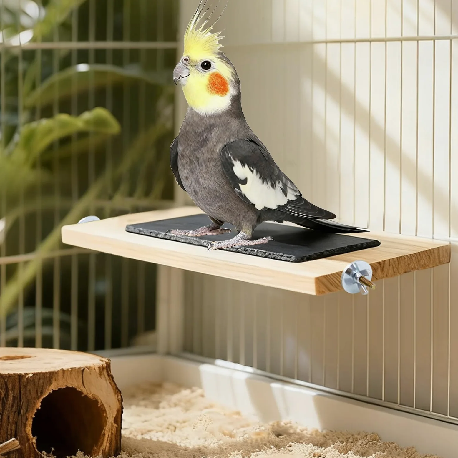Perchoir pour oiseaux, plate-forme en bois avec pierre d'ardoise, aire de jeux pour oiseaux, perruches, accessoires de cage pour perruches, calopsittes, inséparables, joues vertes, oiseaux de petite