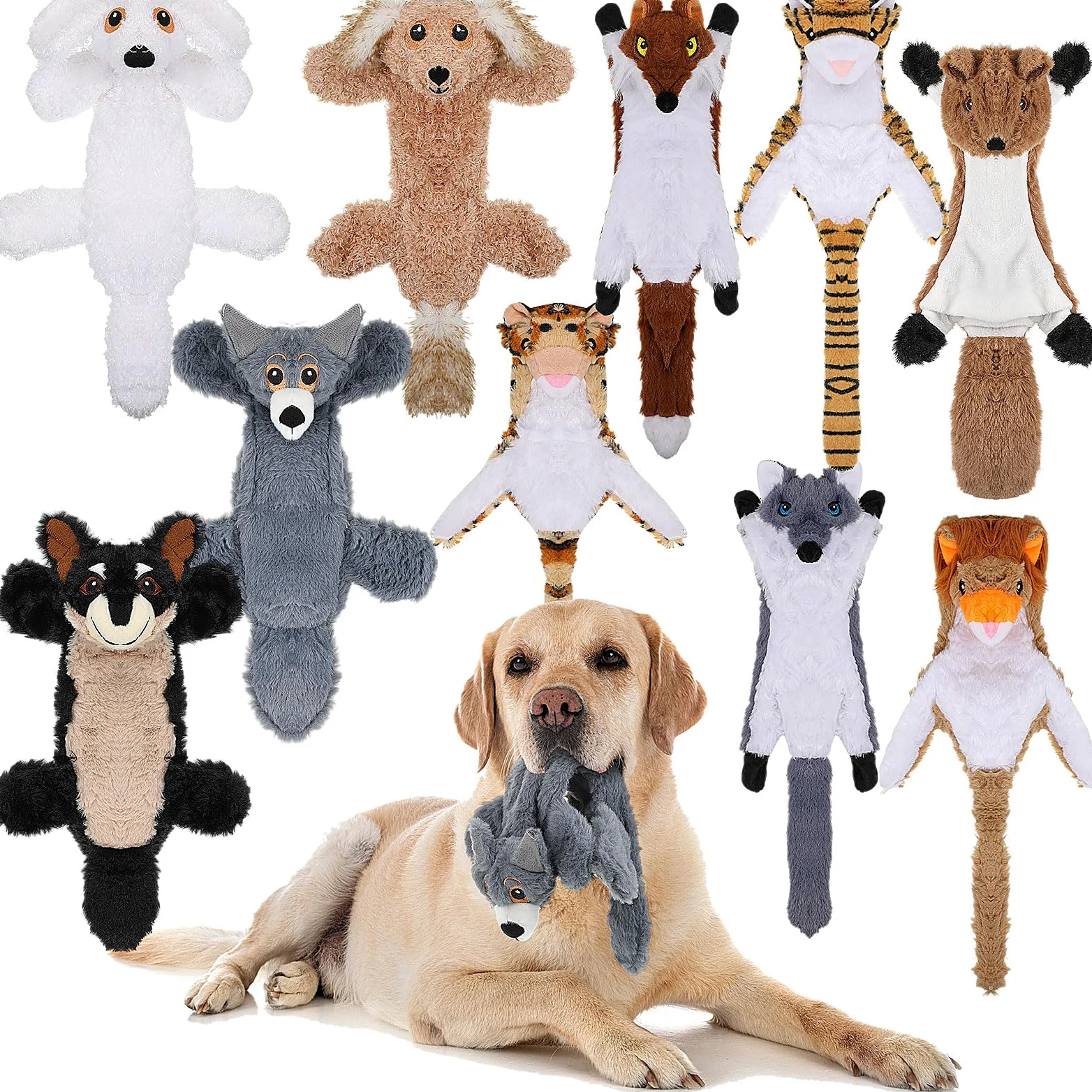 Lot de 10 jouets couineurs pour chien sans rembourrage - Jouet froissé pour chiens agressifs - Jouet de dentition en peluche pour chiots de petite, moyenne et grande taille, 10 styles (style délicat)