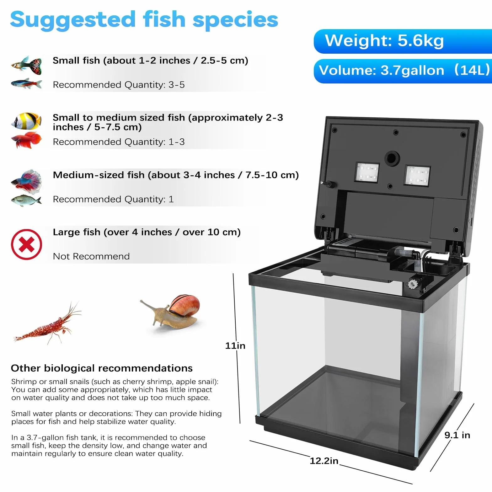 AQQA Kit de Démarrage Aquarium 14 L en Verre avec Filtre LED, 10 Couleurs Réglables, Nano Betta