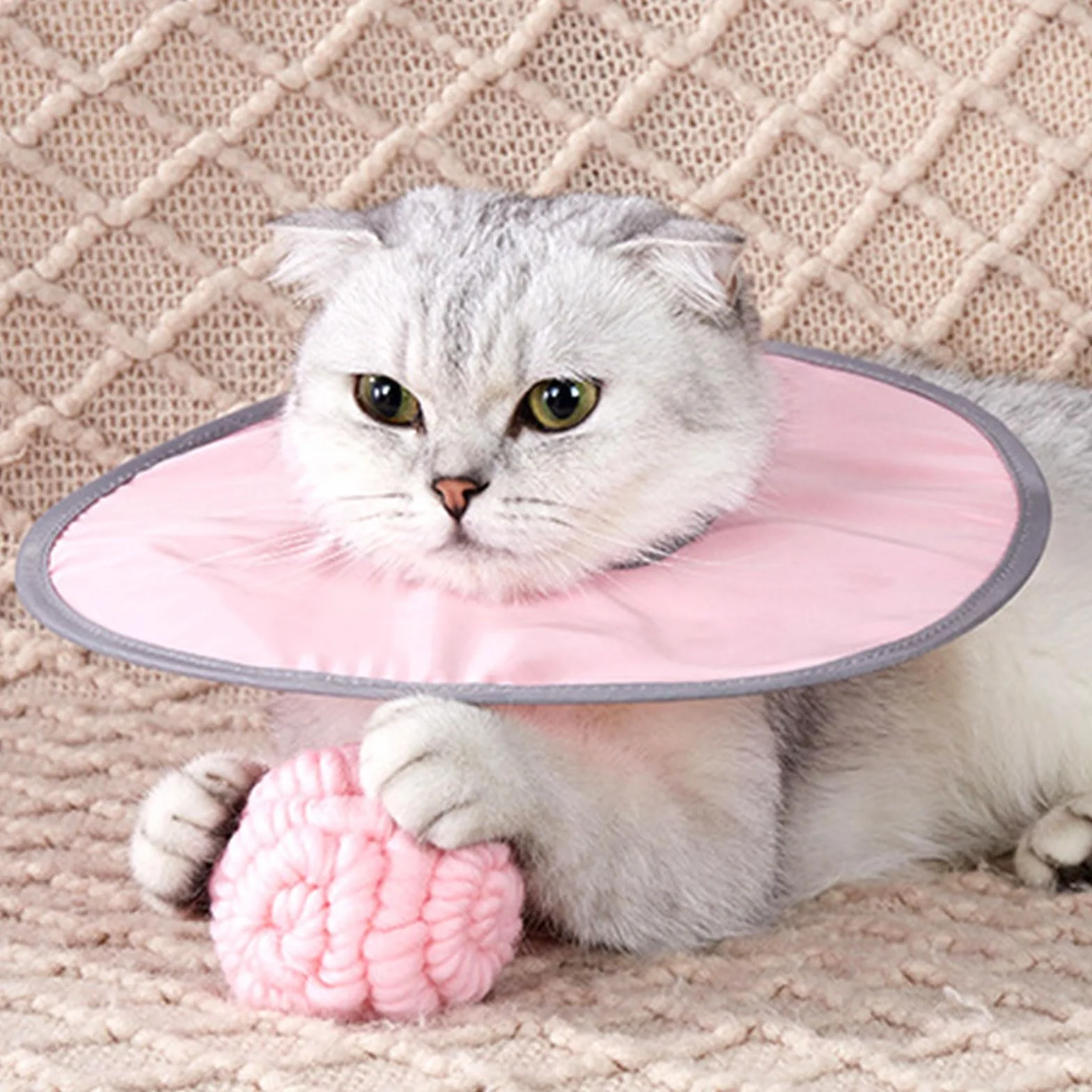 Collerette Chat Anti Léchage Réglable pour Chirurgie GIONAR Rose