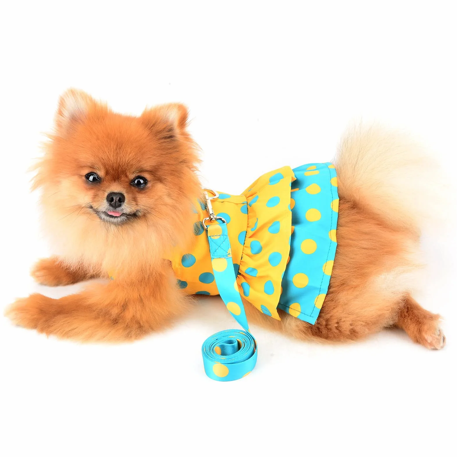 Robe Harnais pour Chien avec Laisse et Nœud - Anneau en D - Vêtements d'été - Pois Jaunes - Taille M