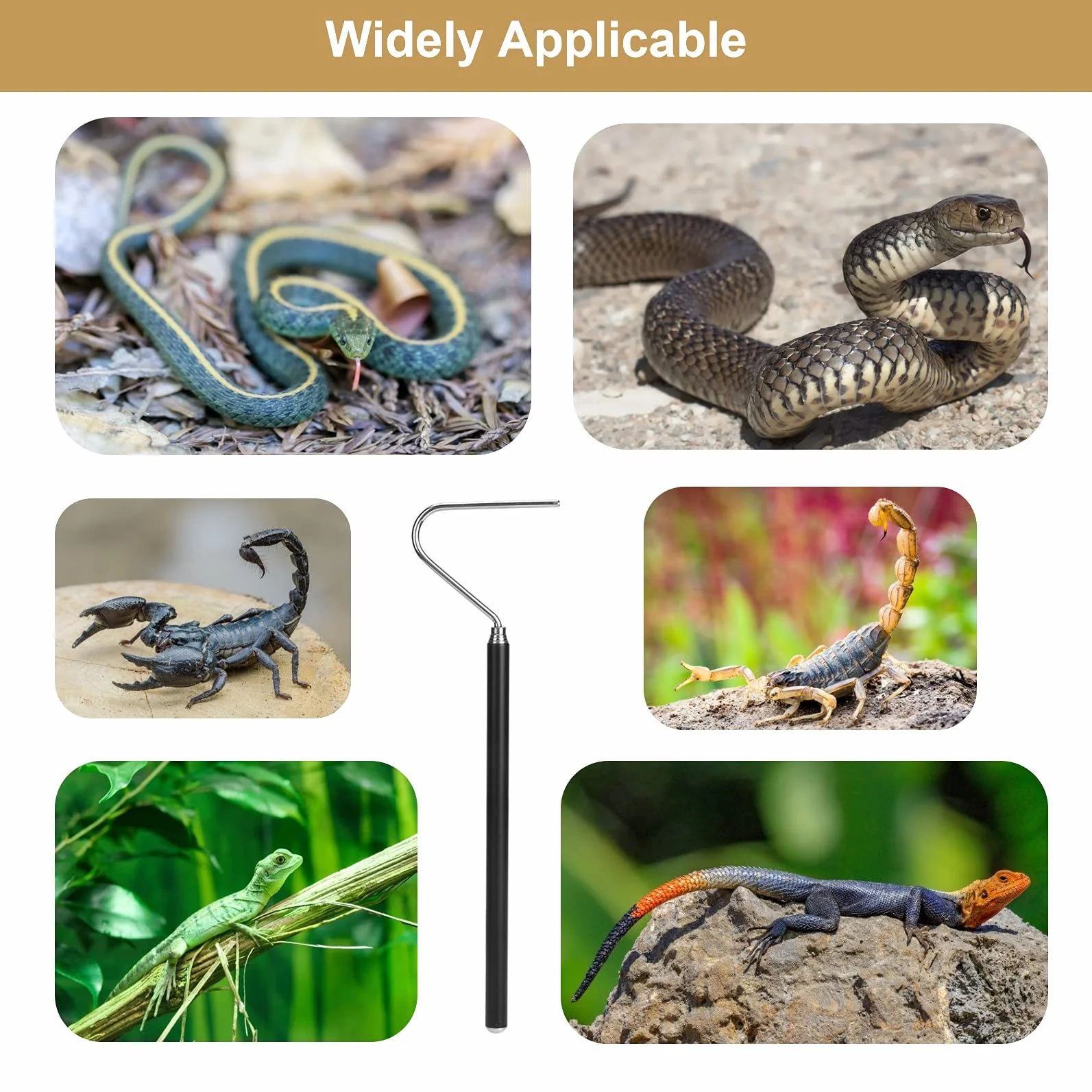 Crochet de Serpent Télescopique en Acier Inoxydable 100cm pour Reptiles