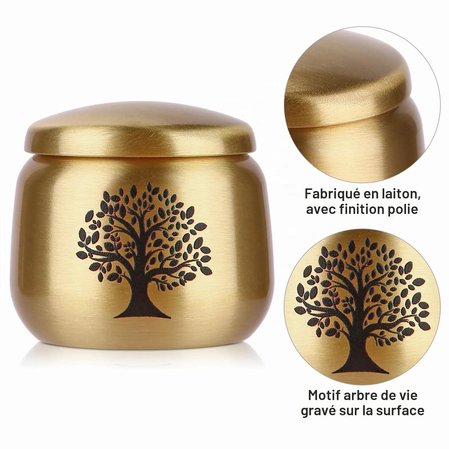 Urne funéraire en Laiton Motif Arbre de Vie pour Cendres Adultes, Femmes, Animaux domestiques 2.5 Pouces Cubes