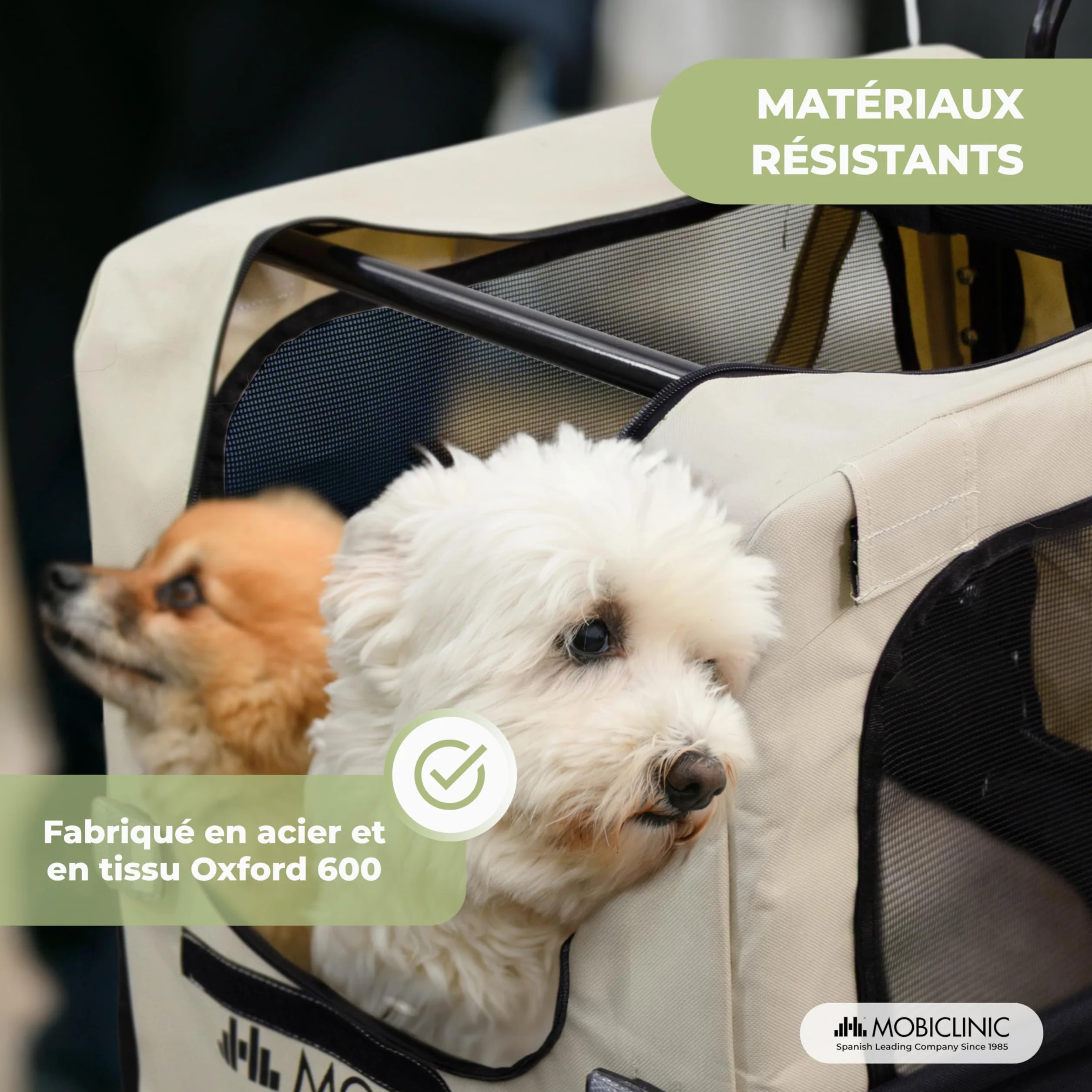 Mobiclinic® Remorque Vélo pour Chien 2 en 1, Jusqu'à 40 kg, Tissu Oxford 600D, 123x67x100 cm
