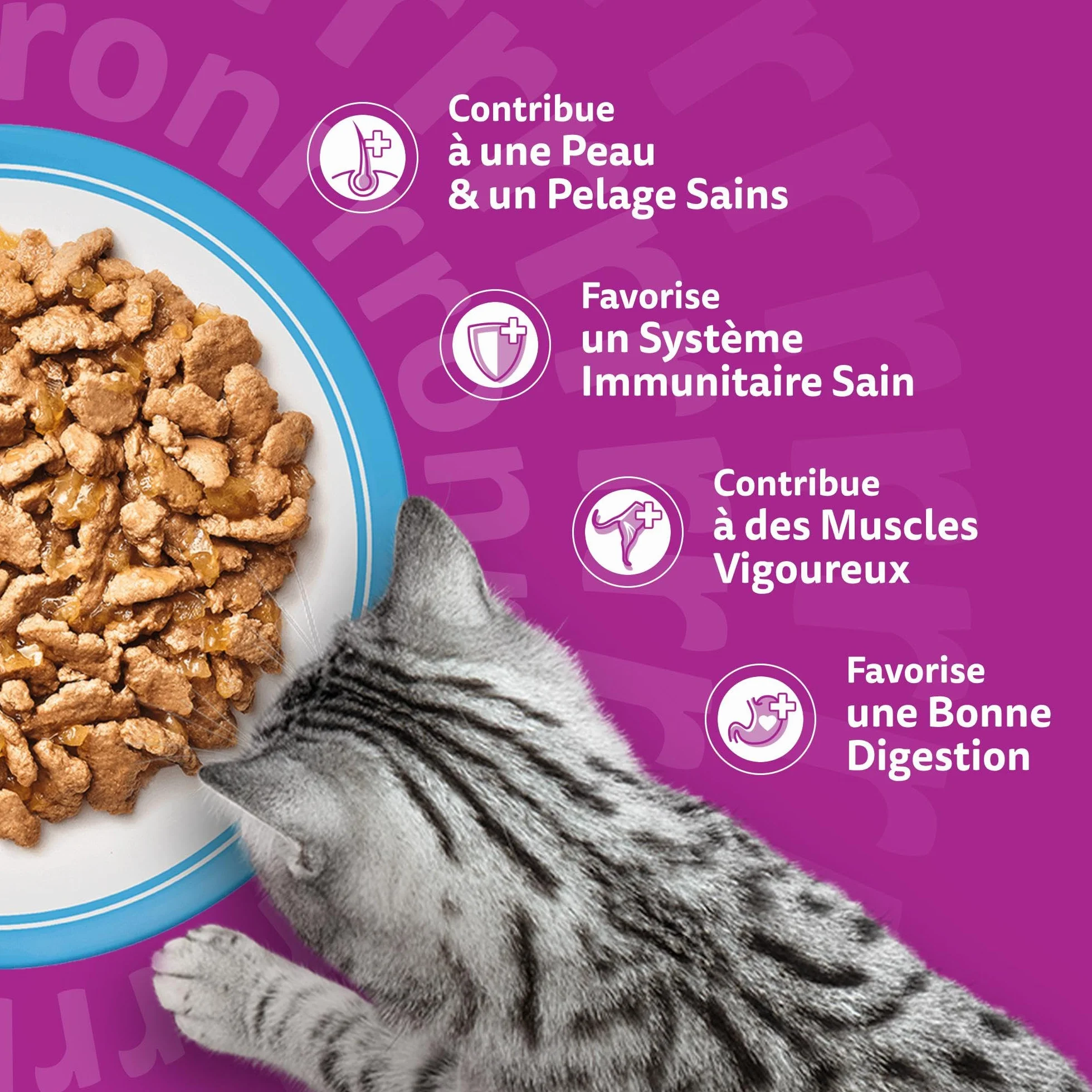 WHISKAS Aliment humide en gelée Chat adulte Les Poissons Favoris 48 Sachets