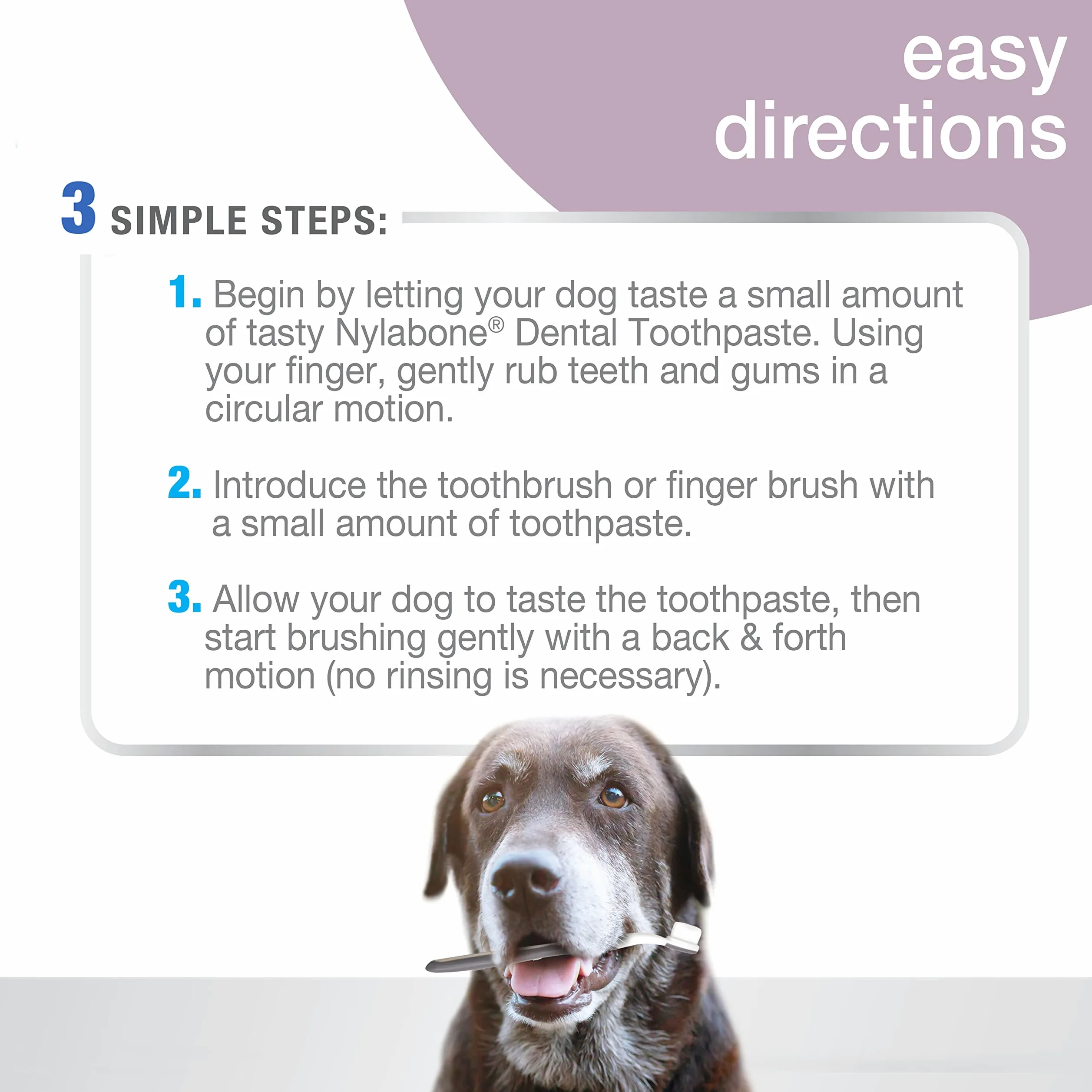 Nylabone Advanced Oral Care Kit Dentaire pour Chien Senior avec Brosse à Dents à Poils Doux et rembourrés 3 pièces