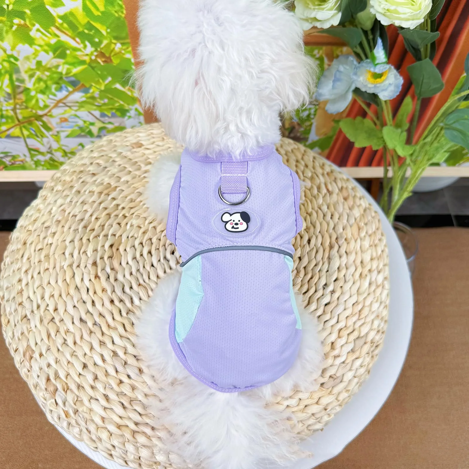 Gilet Rafraichissant Chien, Manteau Rafraichissant pour Chien, Vetement pour Chiens, Taille Petits et Moyens Violet Bleu