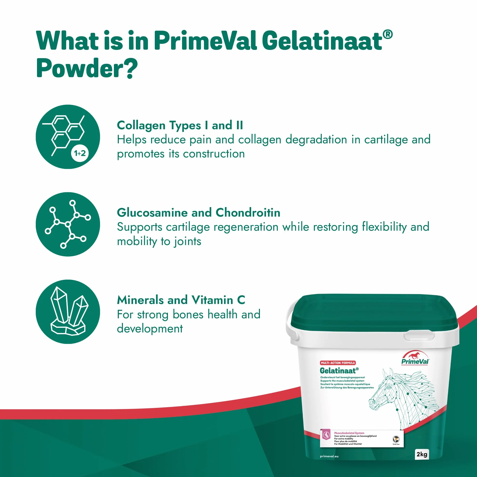 PRIMEVAL Gelatinaat en Poudre 2kg – Complément articulaire cheval collagène Type I II Magnésium Calcium