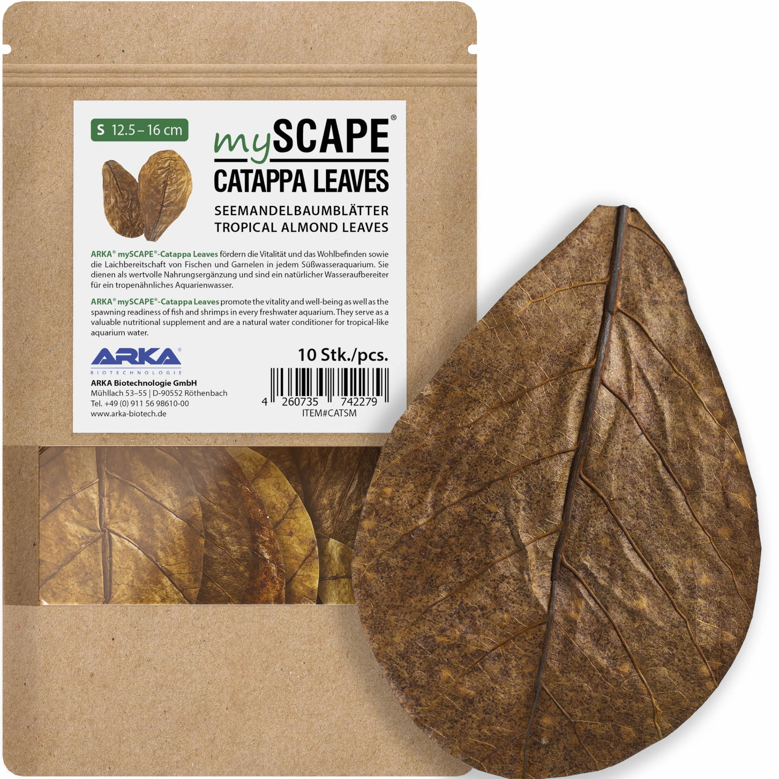 ARKA Myscape-Catappa Lot de 10 feuilles de Badamier 12,5-16 cm conditionneur d'eau naturel aquarium eau douce