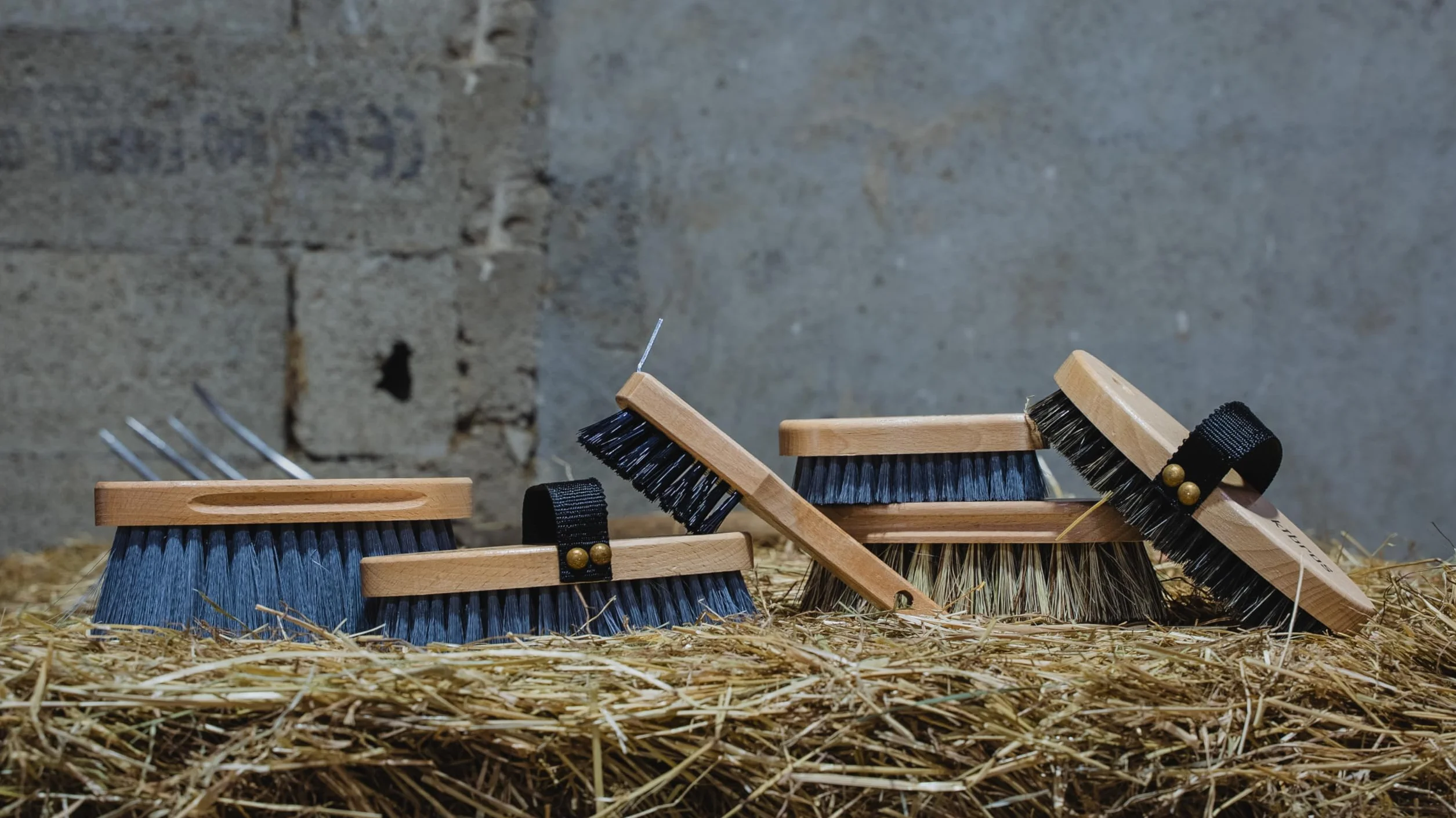 Kibros EQUITLOT6 Kit Complet pansage Cheval 6 brosses équitation Haut de Gamme