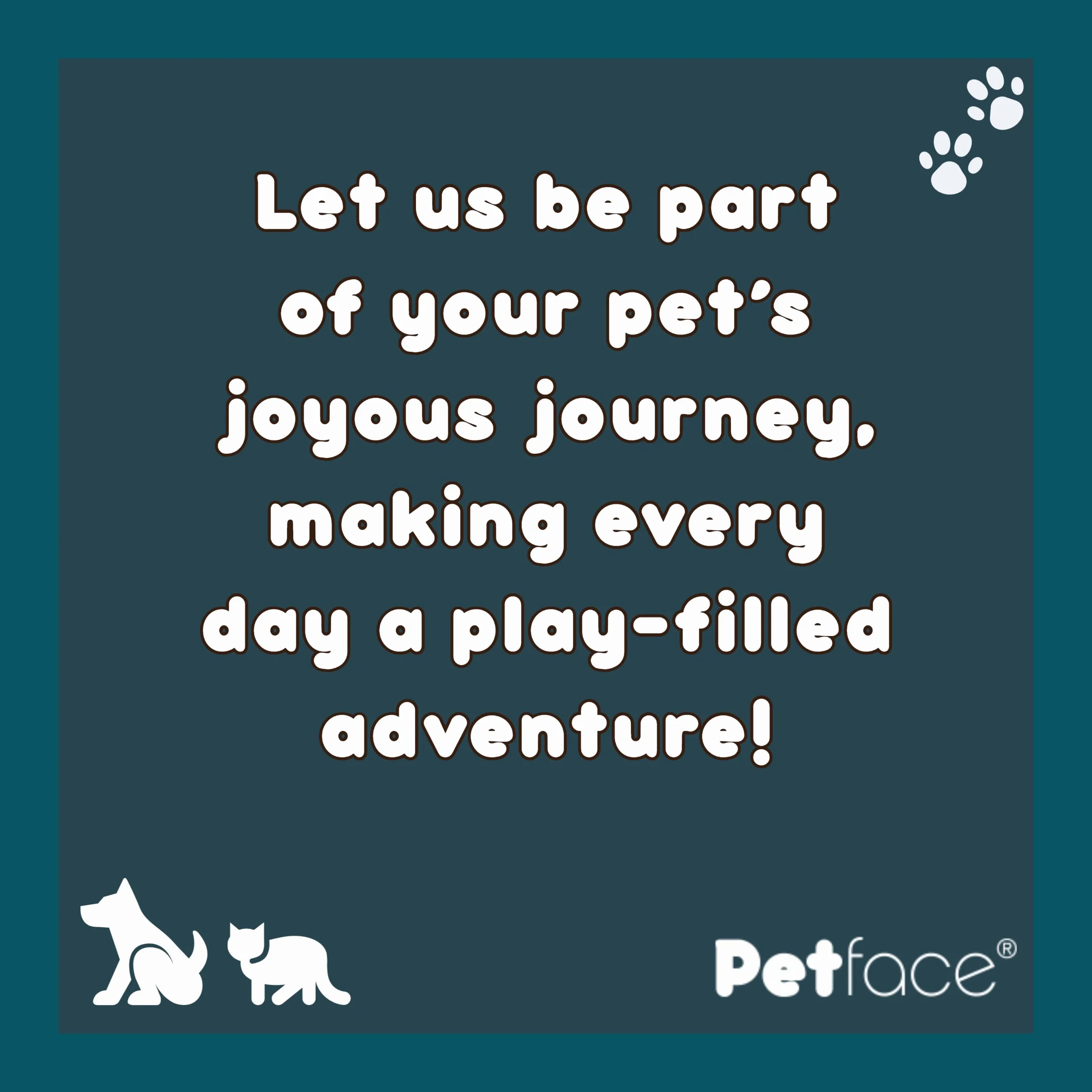 Petface Jouet en Corde pour Chien en Forme de 8