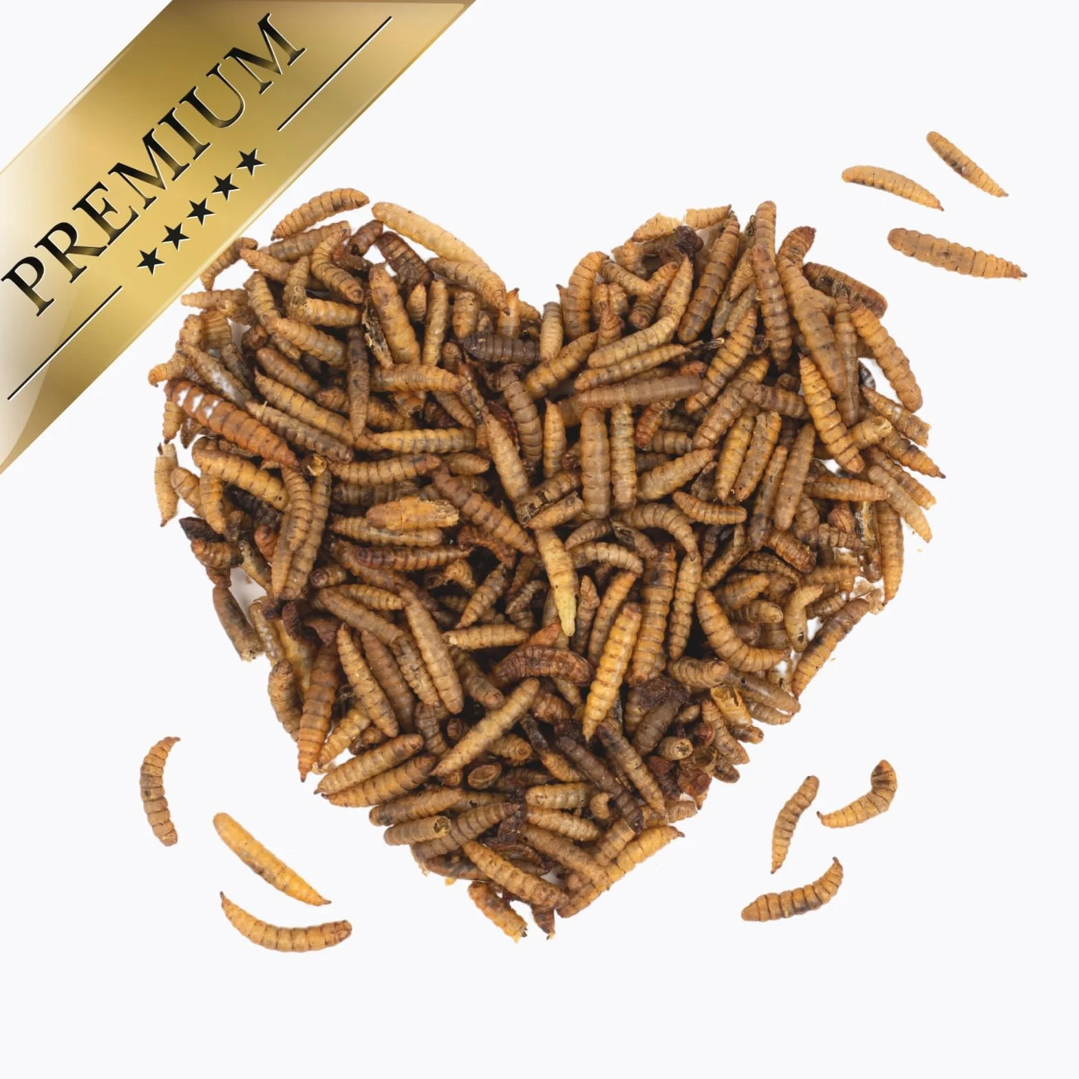 Lyra Pet® Larves de Mouches Soldats séchées 10 kg Black Soldier Fly Hermetia Illucens riche en Calcium protéines pour Oiseaux Poissons rongeurs Reptiles