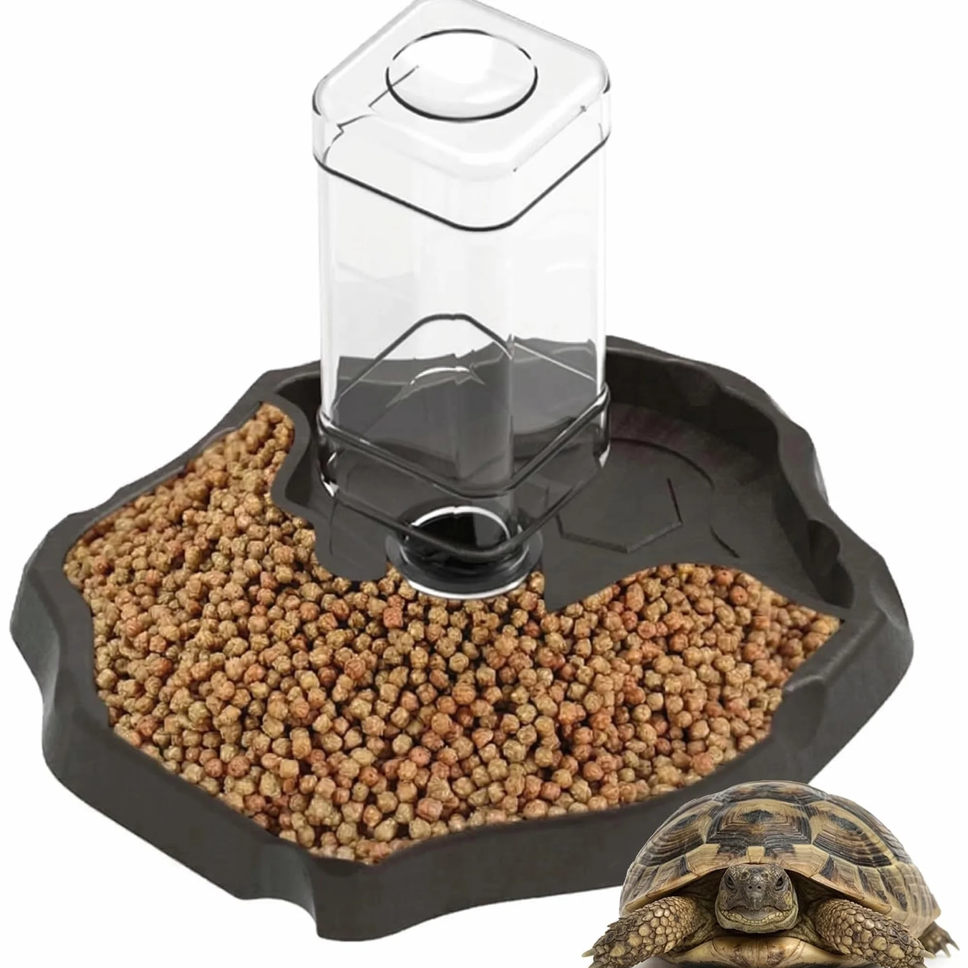 Distributeur d'eau pour Reptile 2 en 1 Mangeoire Gamelle Tortue Terrestre Bouteille Incluse