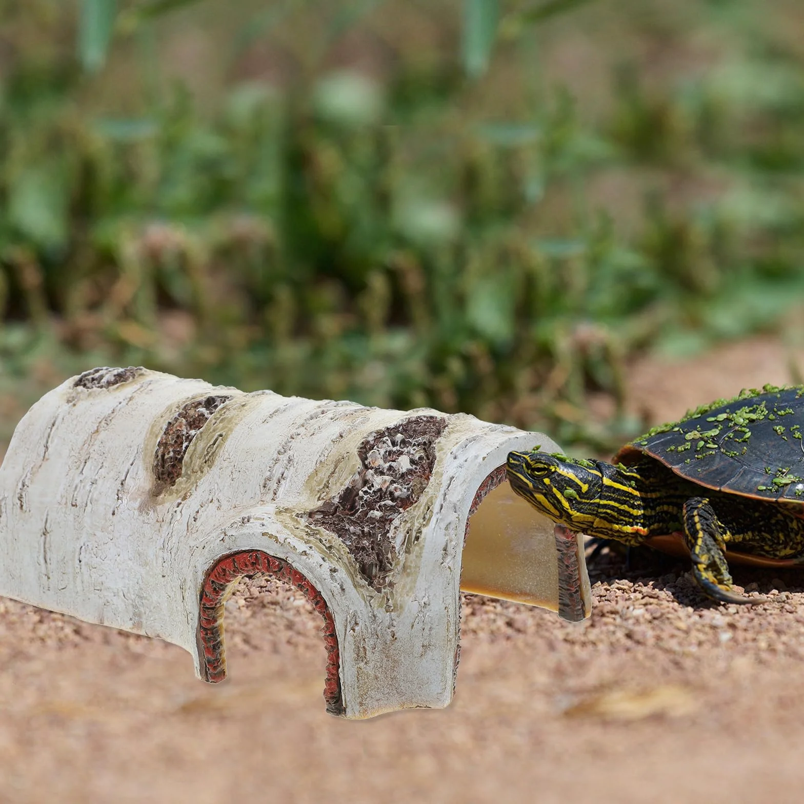 Maison Tortue Terrestre Exterieur Résine Naturelle Grotte Décorative Reptiles Abri Cachette Petits Animaux