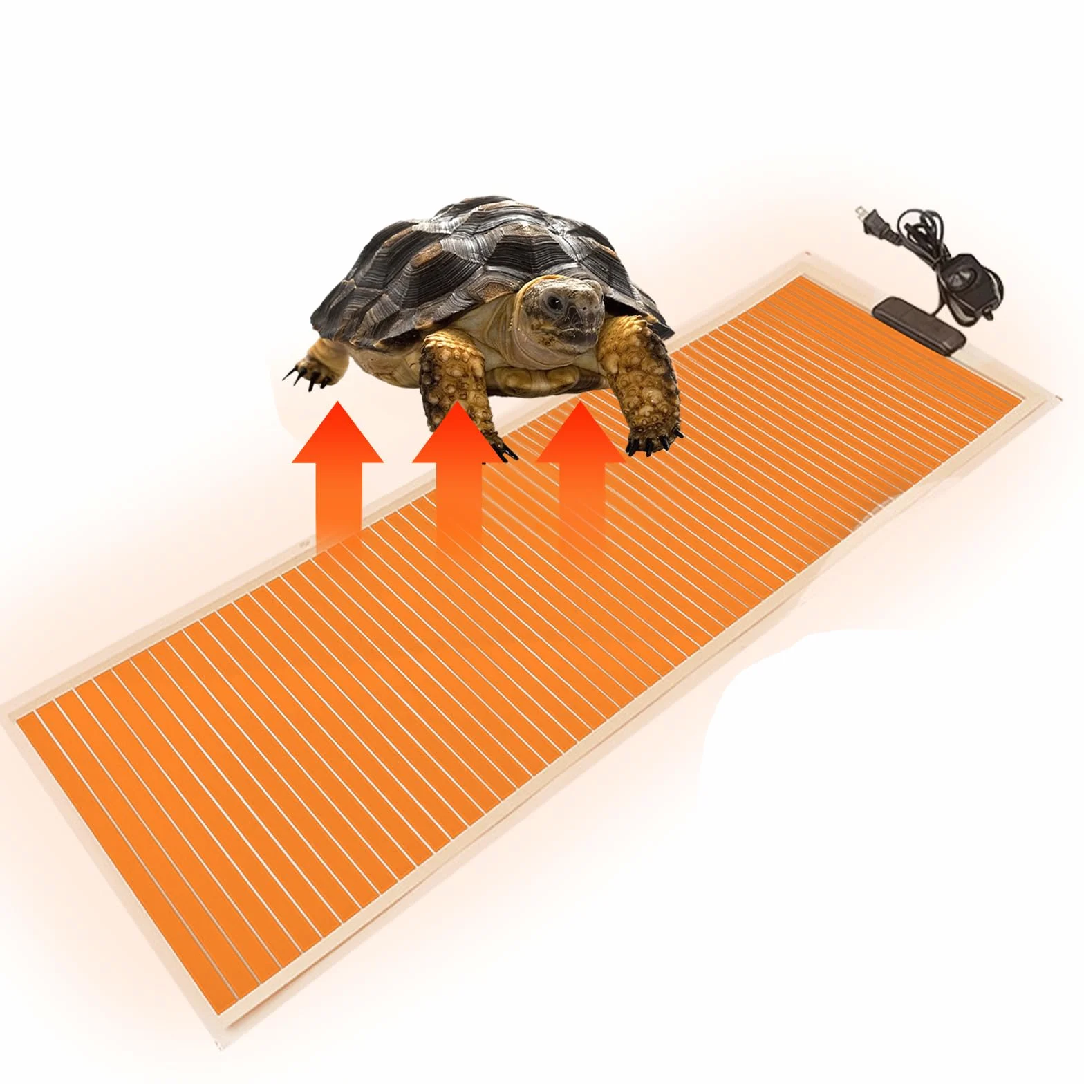MENAYODA Tapis chauffant pour terrarium 80 cm x 28 cm 45 W température réglable reptiles