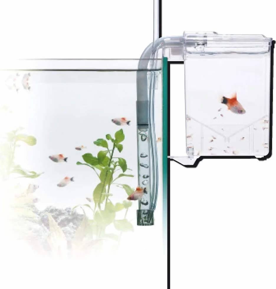 WAVE Salle d'Accouchement pour Aquariophilie Taille L