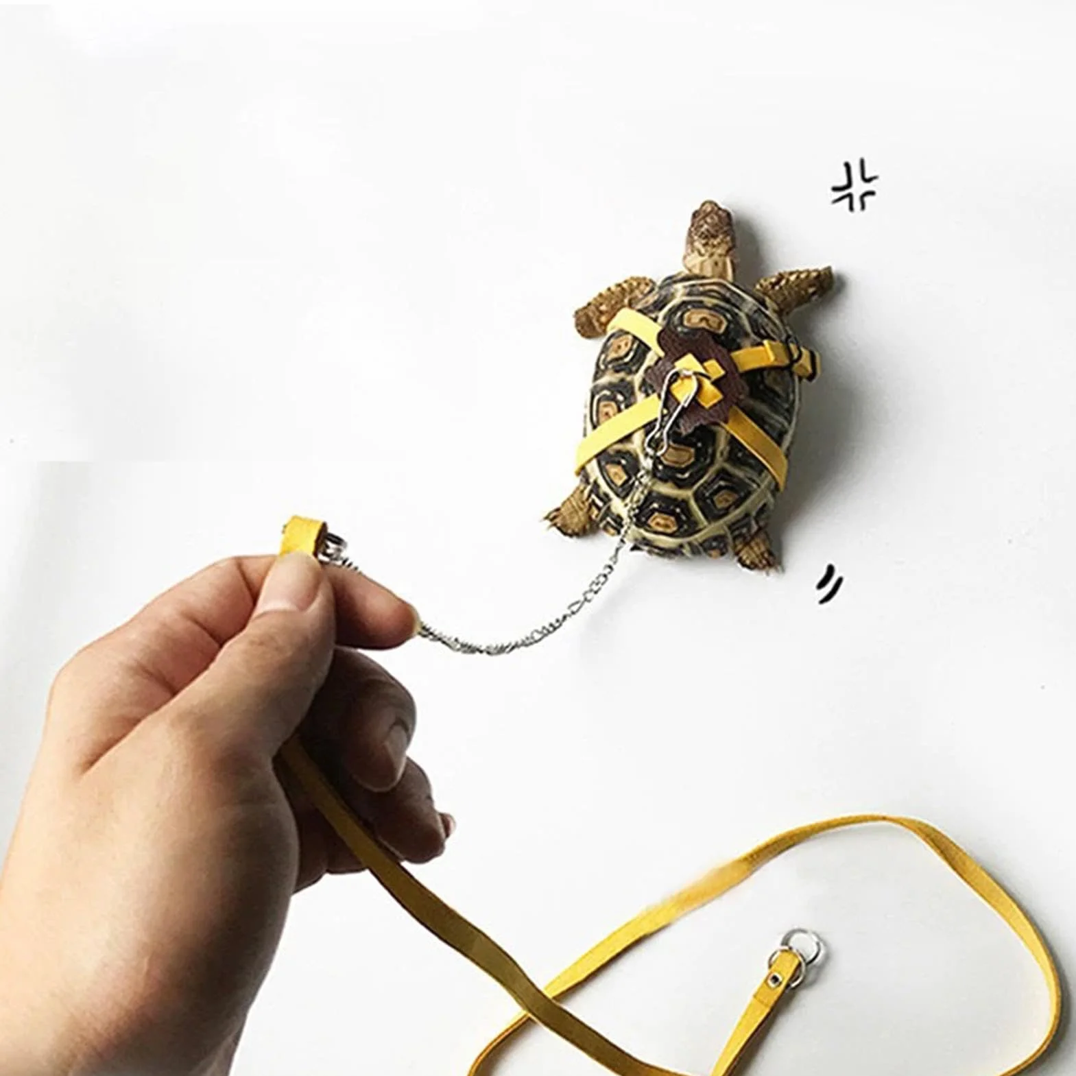 Harnais de Tortue avec Corde de Marche réglable, Jouet de Skateboard pour Tortue