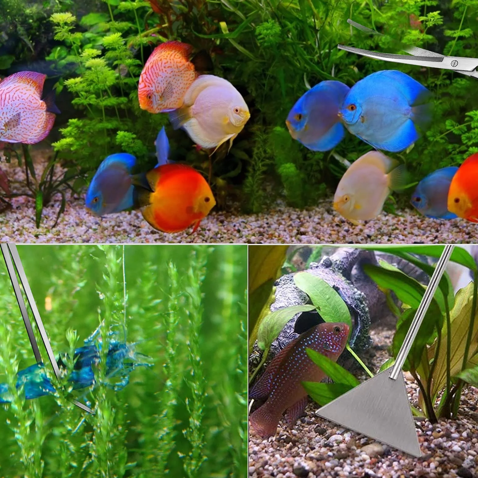 Ensemble d'outils d'aquarium 4 en 1 pinces longues ciseaux spatule kit de nettoyage et de démarrage pour plantes aquatiques argent