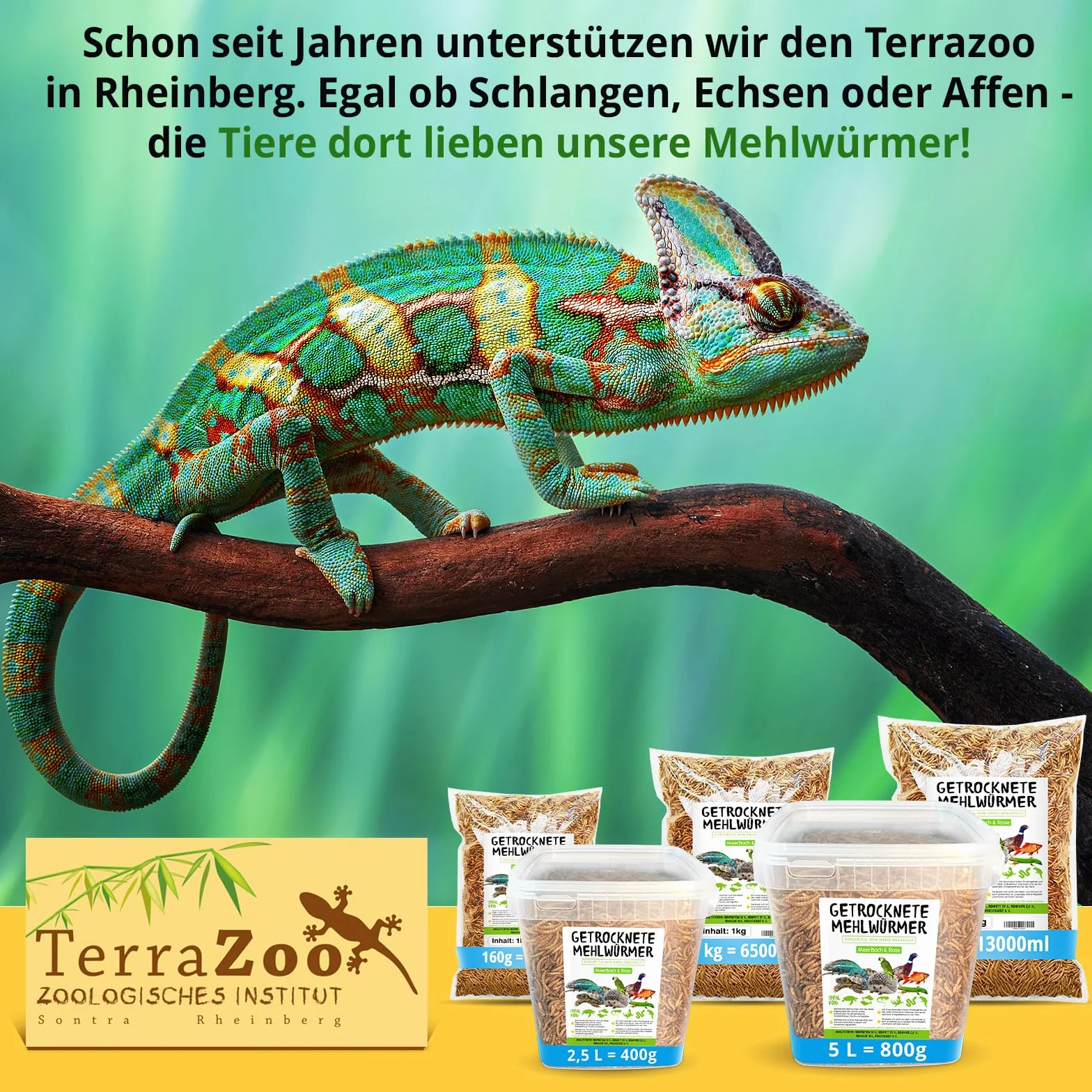 MeerBach & Rose vers de Farine Séchés 800g 5000ml Nourriture pour Poissons Oiseaux Tortues Hérissons Rongeurs Reptiles