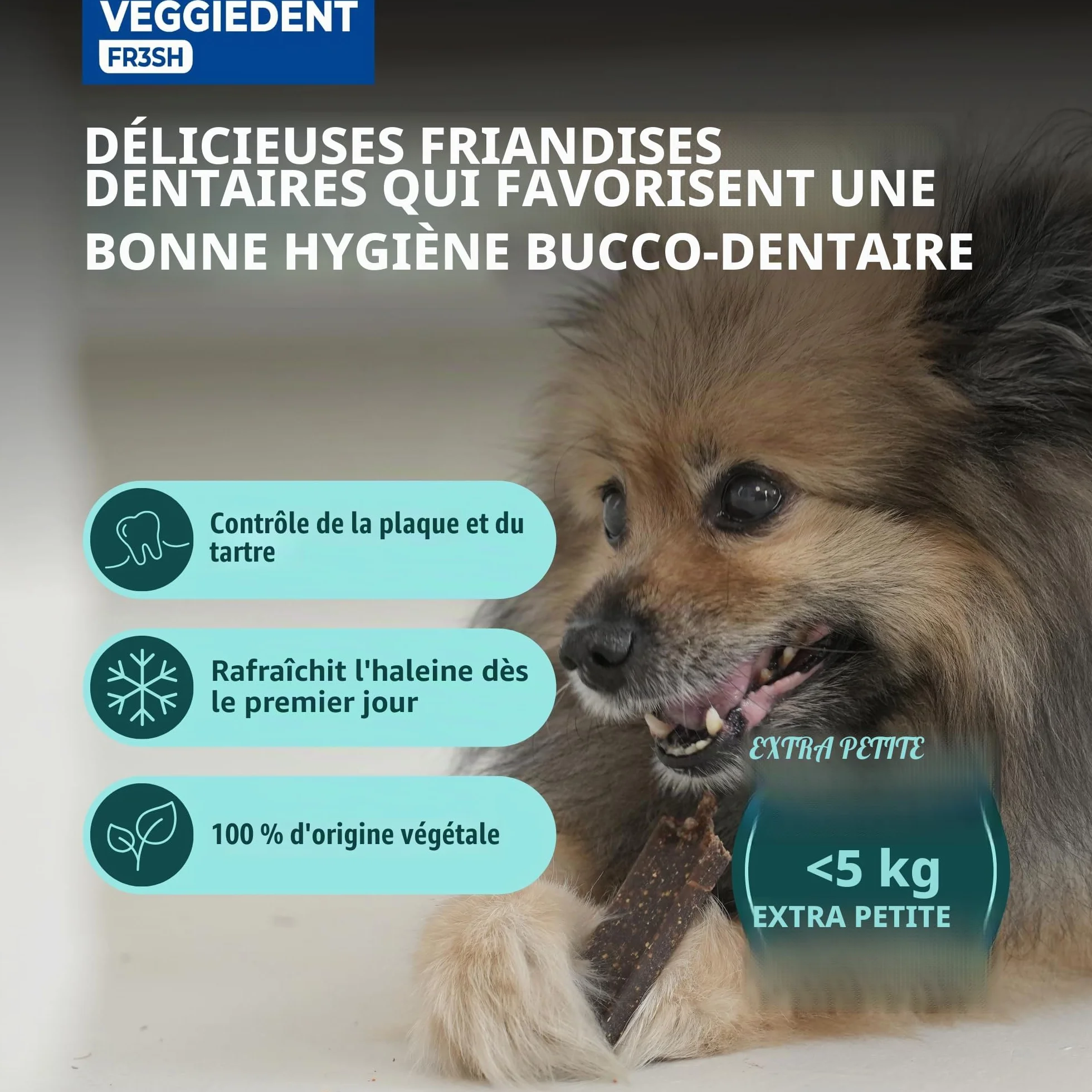 Veggiedent vn100758 bandes de snack fresh XS