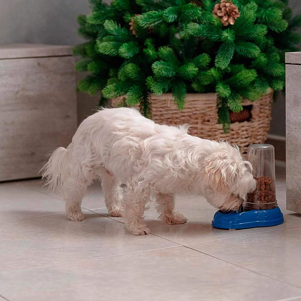 Ferplast Distributeur Croquettes Chiens Chats Nourriture 0,6 Litre Fond Antidérapant 12,5x19x19,5 cm Blanc