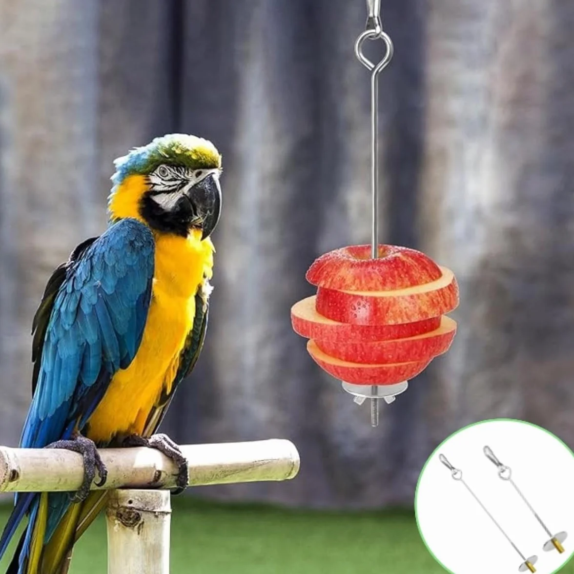 Mangeoire pour Perroquets en Acier Inoxydable 17cm 22cm Porte-Fruits et Légumes Suspendu pour Cage Oiseaux Jouet Perruche