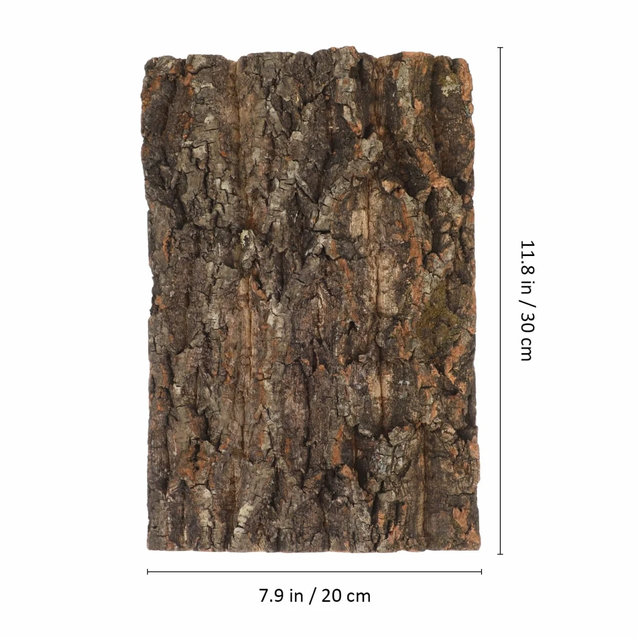 Zerodeko Lot de 2 écorces de liège naturelles pour terrarium 30 x 20 cm paroi arrière authentique mur d'escalade reptiles