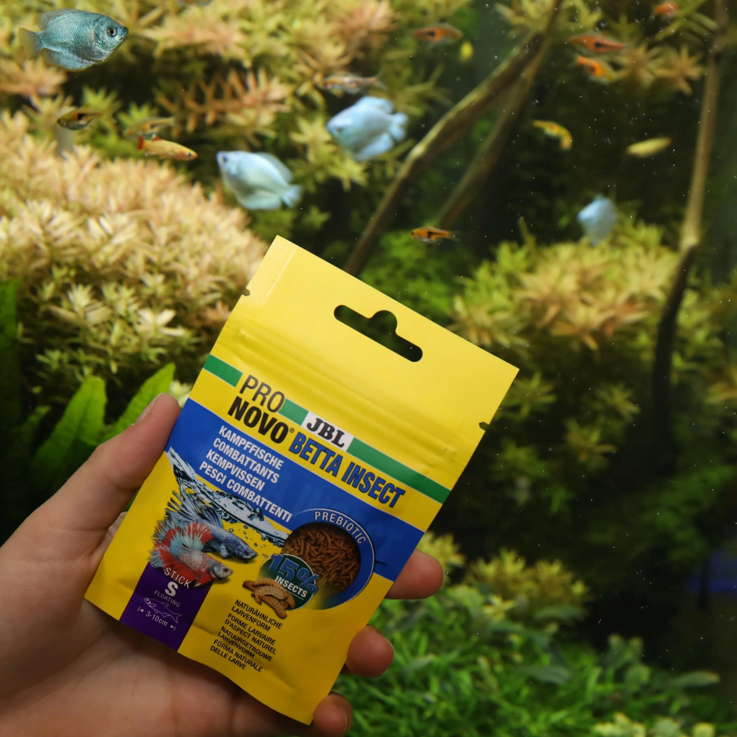 JBL PRONOVO BETTA INSECT STICK Aliment Poissons Combattants 3-10 cm Bâtonnets taille S 20 ml