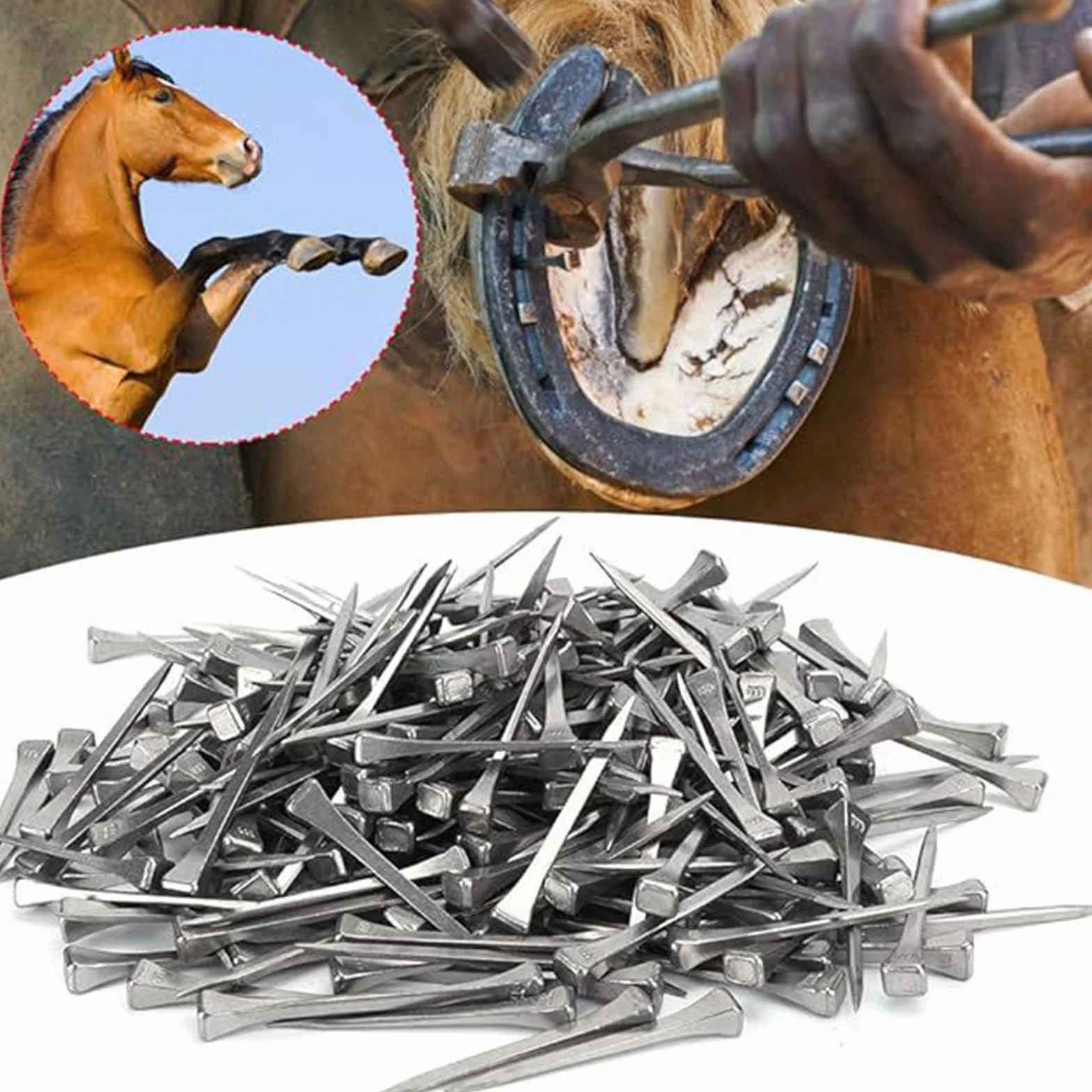Clous en Fer À Cheval en Acier de Haute Qualité, Accessoires Résistants à l'Usure