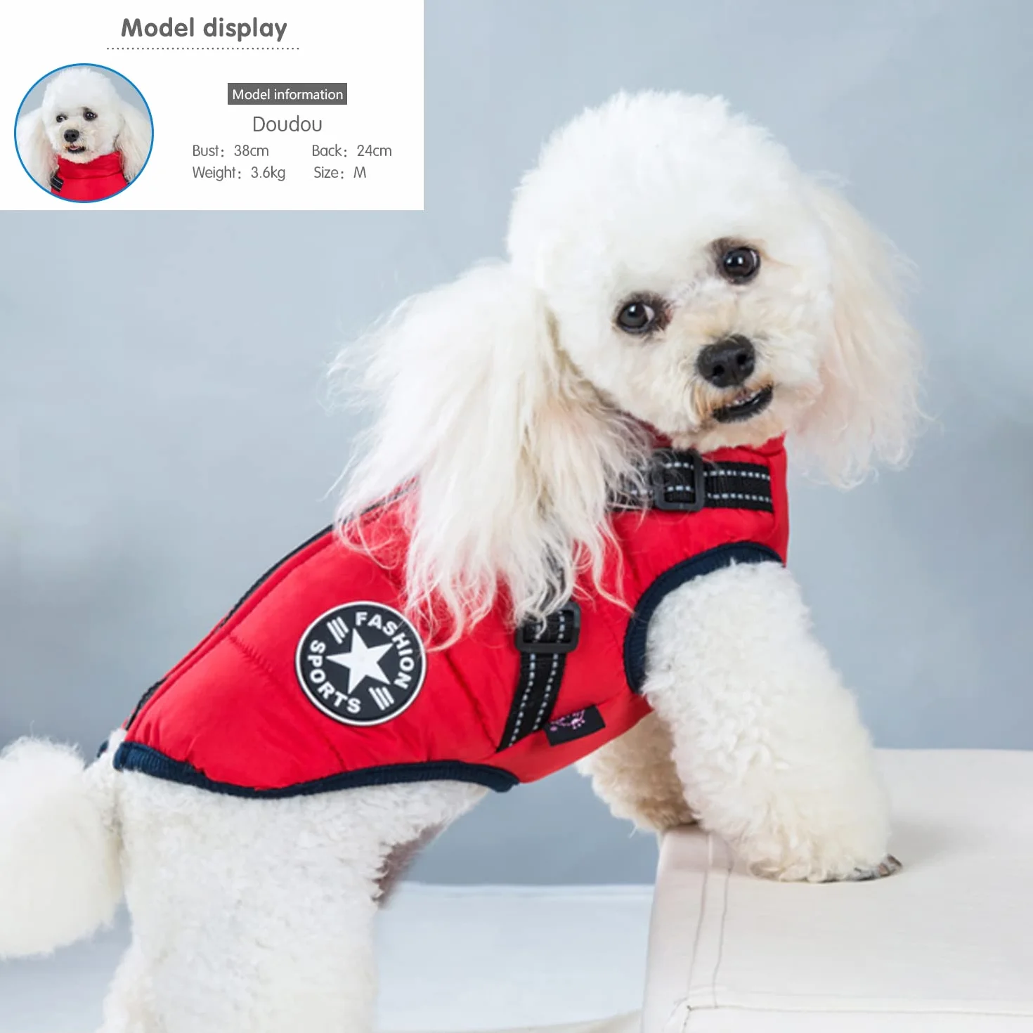 Manteau d'hiver Imperméable pour Chien avec Harnais Veste Réfléchissante Coupe-Vent Petit Moyen