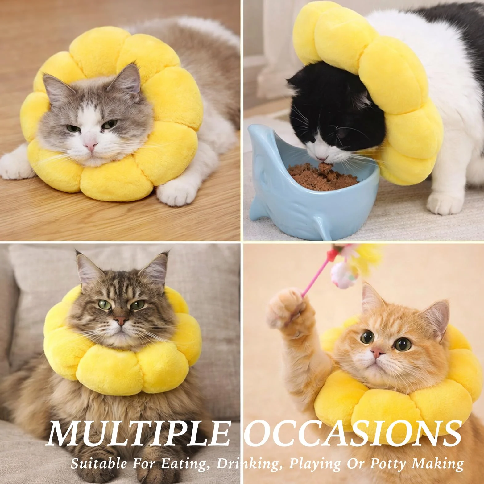 Collerette Anti-Léchage pour Chat Forme Tournesol Kit Décoration Élisabéthaine Réglable Confortable