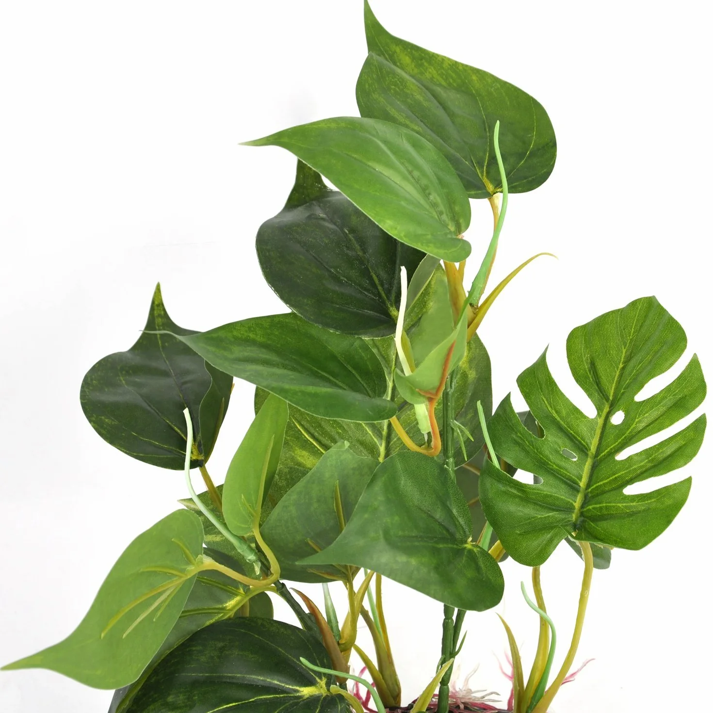 Plante d'Aquarium Artificielle 20 cm Décoration Accueil