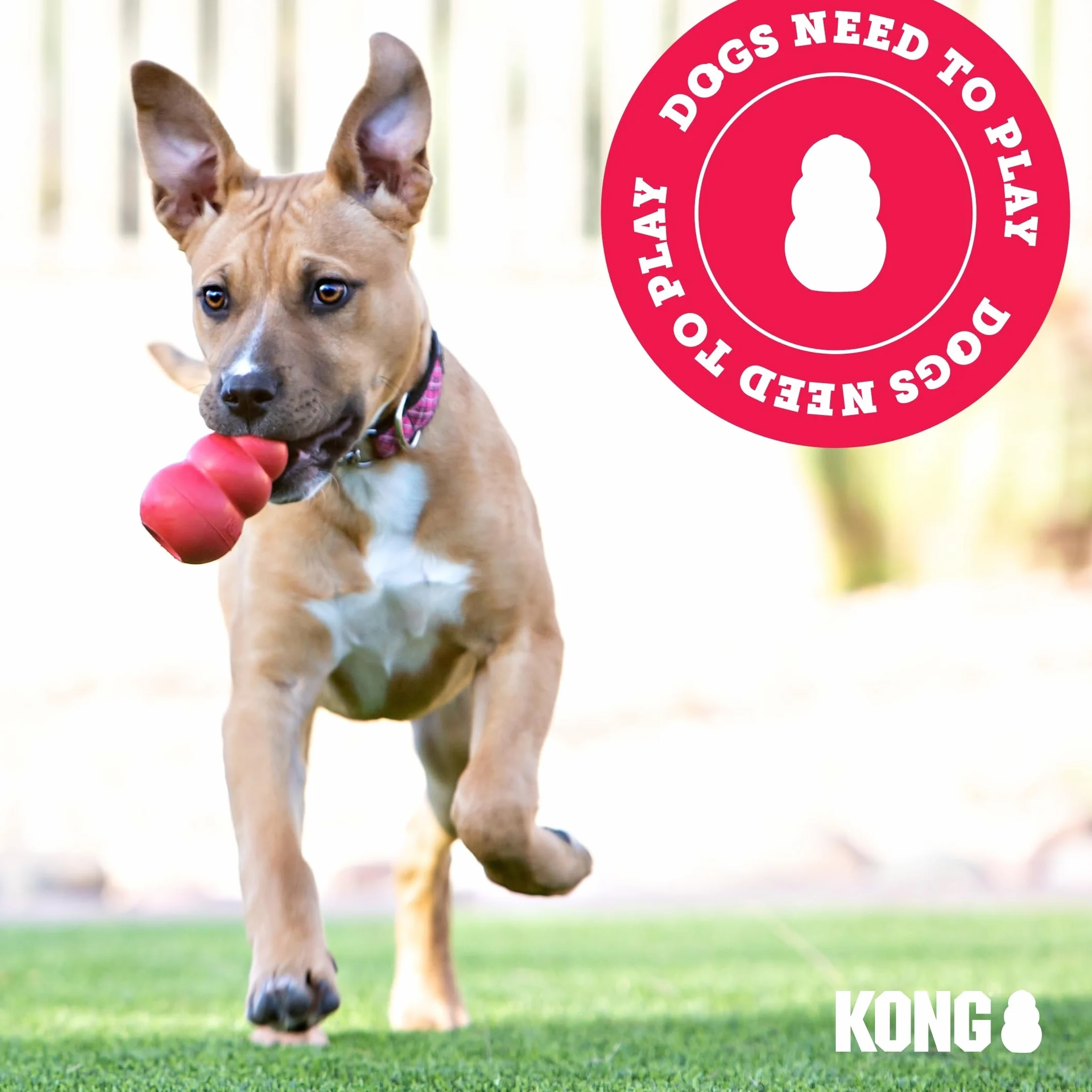 KONG Scrunch Knots Squirrel Corde Nouée Chien Moyen Grand