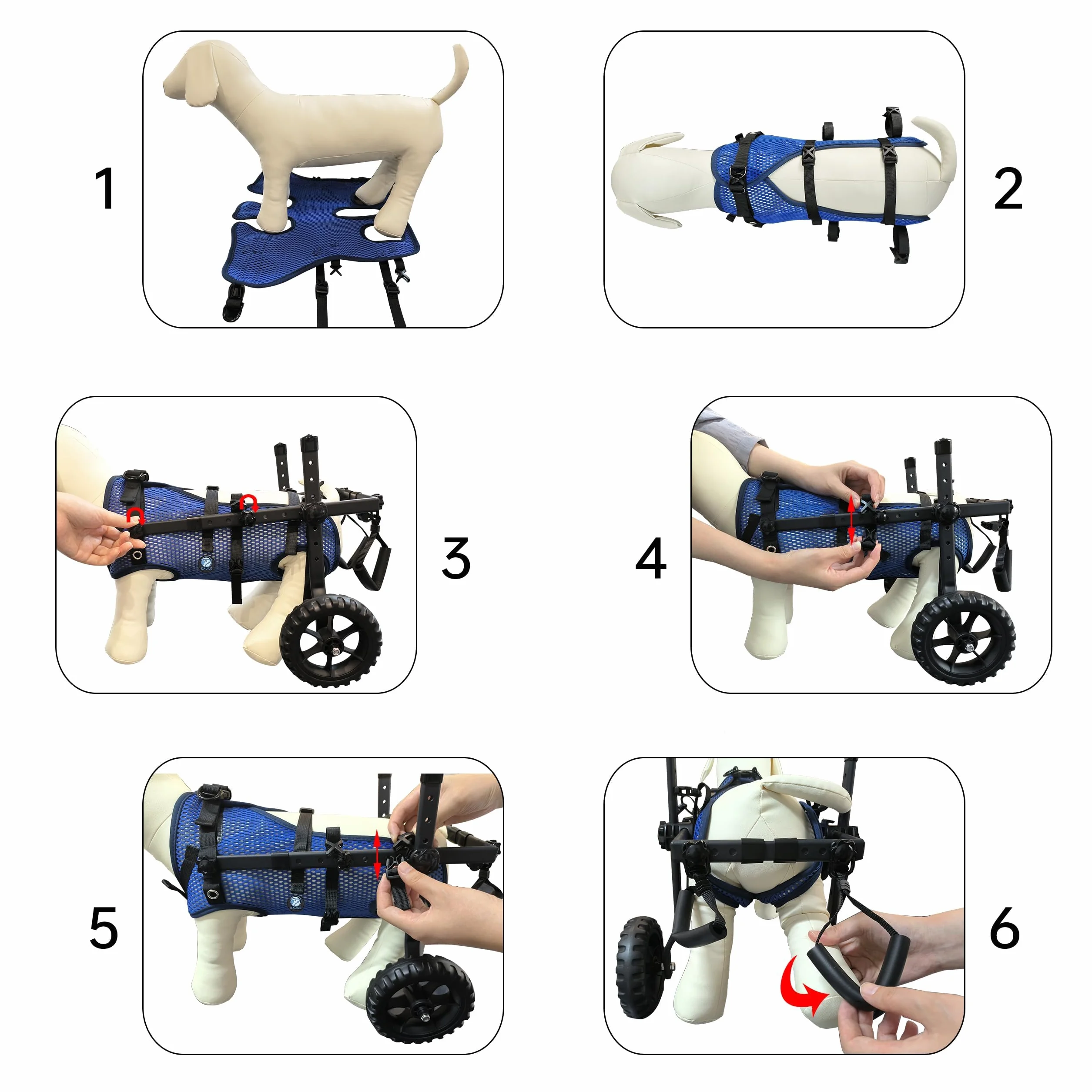 Fauteuil Roulant Pliable et Réglable 2 Roues pour Animaux,Bleu,M | Rééducation des membres postérieurs chez les animaux de compagnie, poussette pour animaux, soutien des pattes arrière