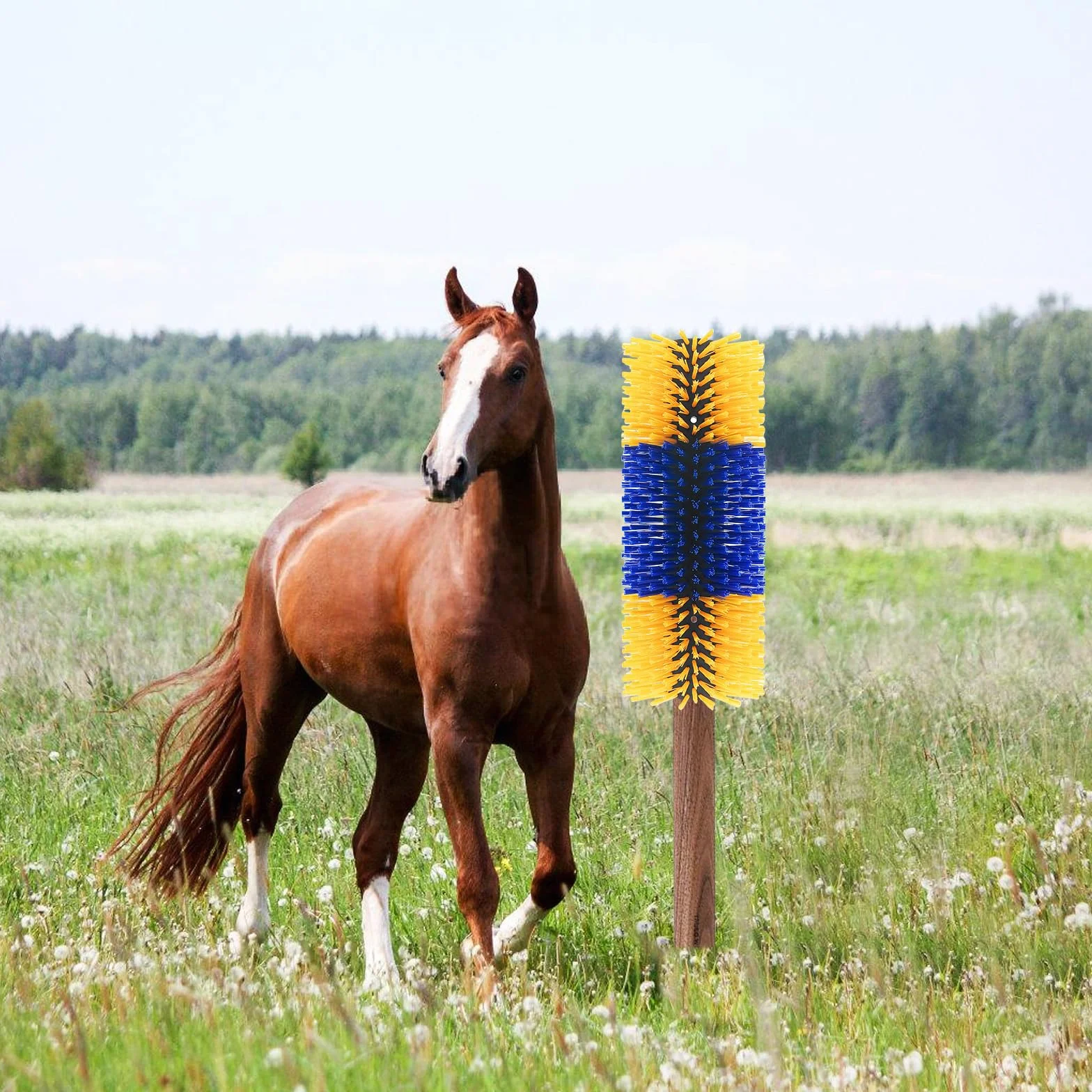 Brosse Anti-rayures Set Pour Bétail Vaches Chevaux Chèvres Bovins