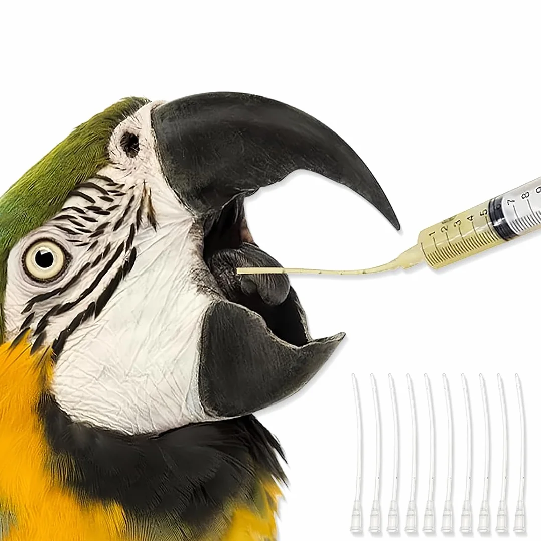 JEYORZY Sondes d'alimentation pour Oisillons, Seringue 10 ML, Bébé Oiseau, Tortue, Colombe Médicaments Liquides