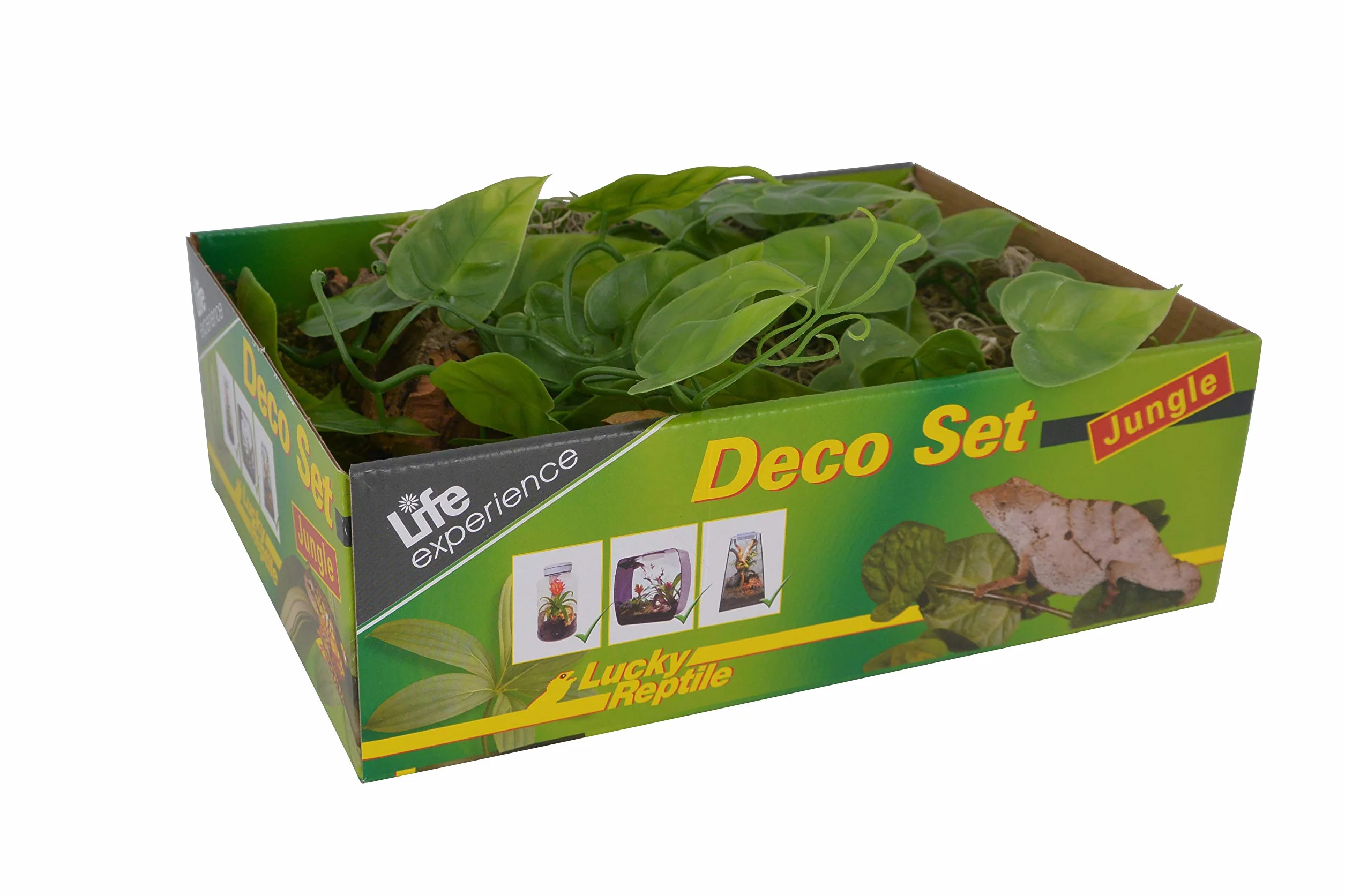 LUCKY REPTILE Ensemble de Décoration de Terrarium Plastique Jungle