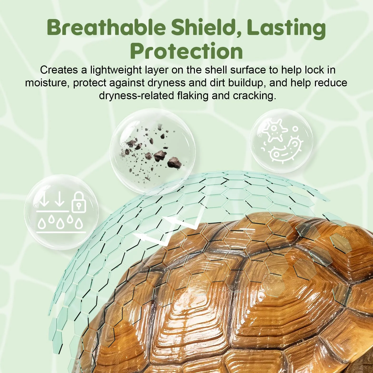 Baume hydratant pour carapace de tortue - Soin végétal 30 g