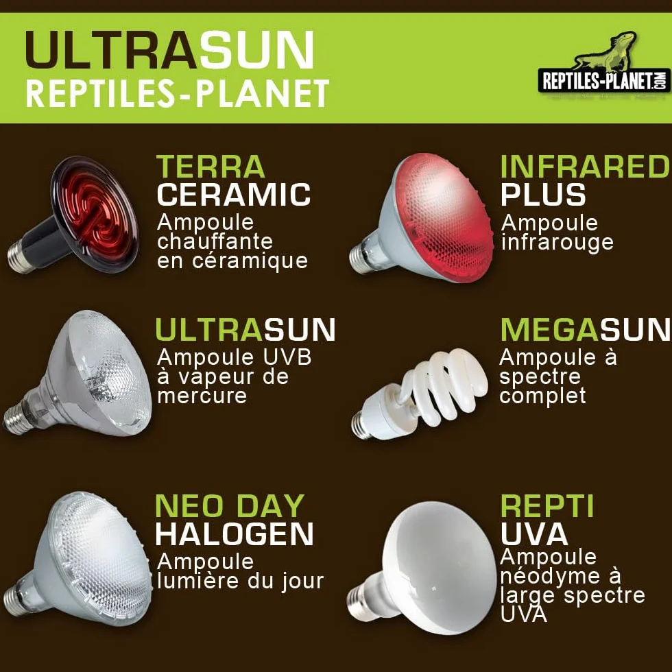 Reptiles Planet Ultrasun 100 W Ampoule UVA UVB pour Reptiles