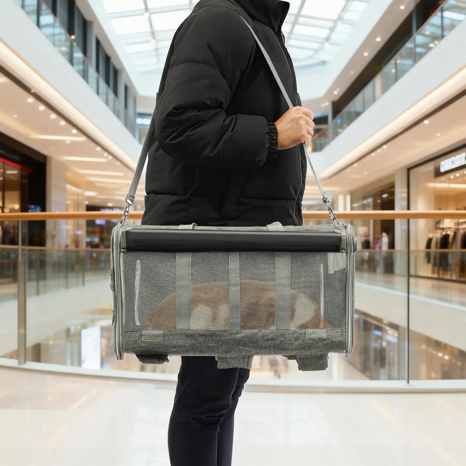 Sac de transport pour animal de compagnie 2 compartiments roulettes poignée télescopique jusqu'à 17,5 kg chat chien