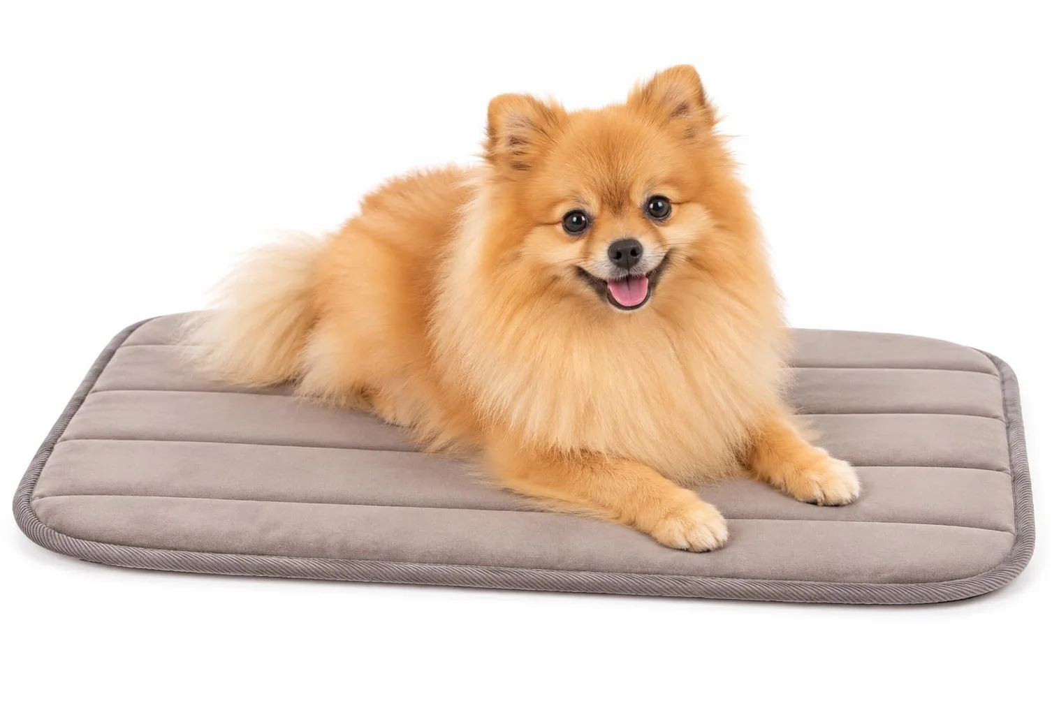 Panier Chien Orthopédique Xana Taupe Mousse Mémoire de Forme 55,5 x 38,5 x 2 cm