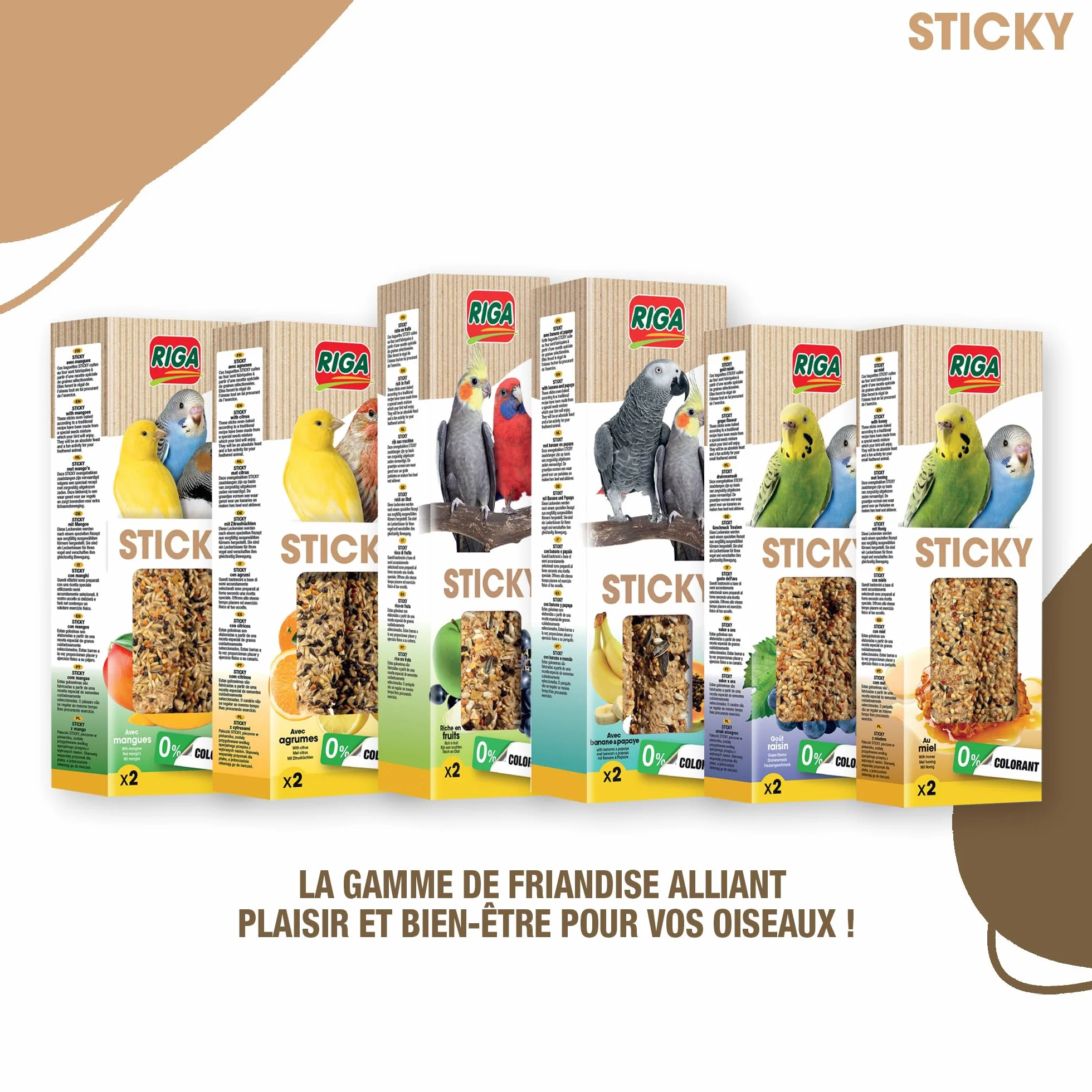 RIGA Barres De Sticky Aux Fruits Nourriture Pour Grandes Perruches Baguettes Graines Cuites Au Four Pommes Et Raisins x 2