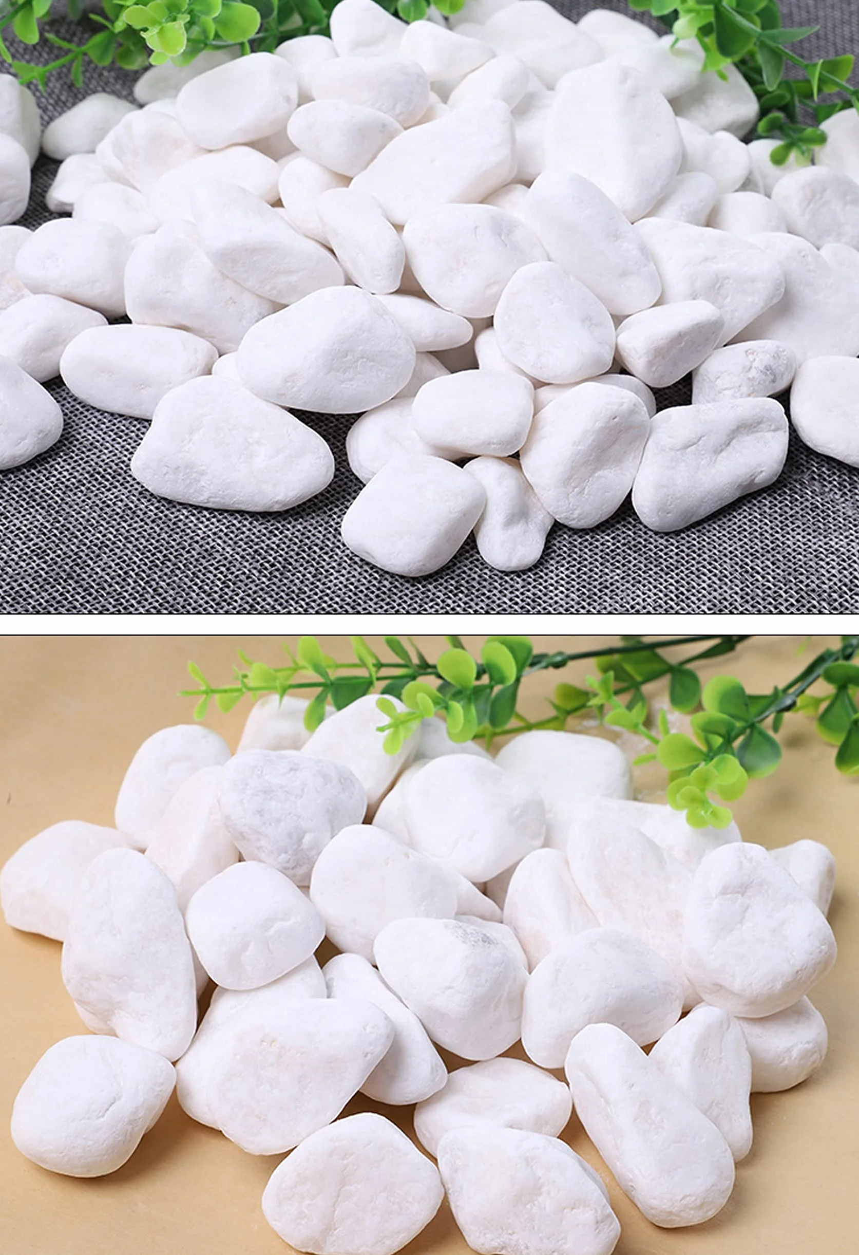 Gravier Aquarium Naturel Blanc 900g – Décoration Jardin Plante Tortue